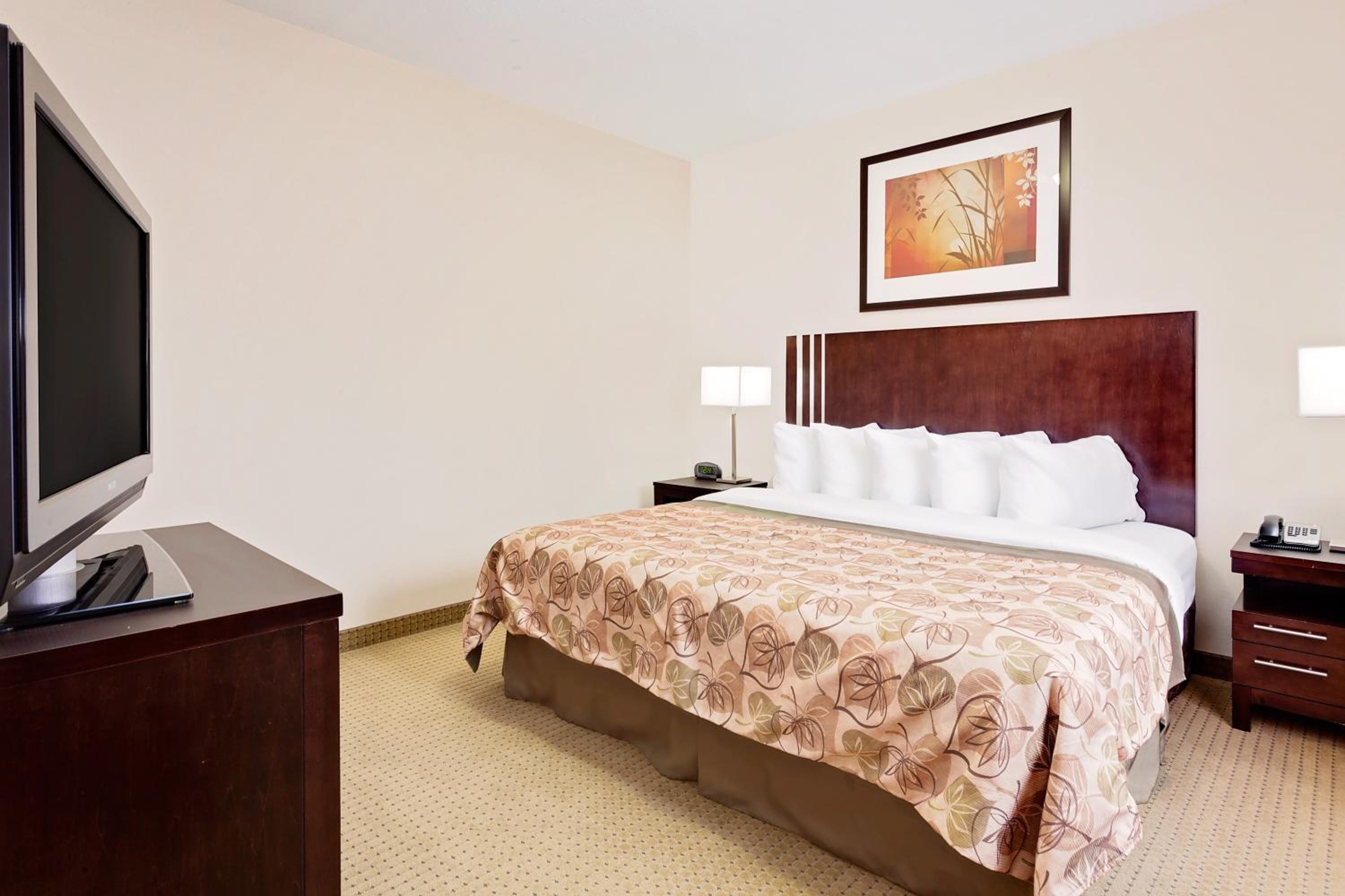 King Room- Non-Smoking - Photo 4