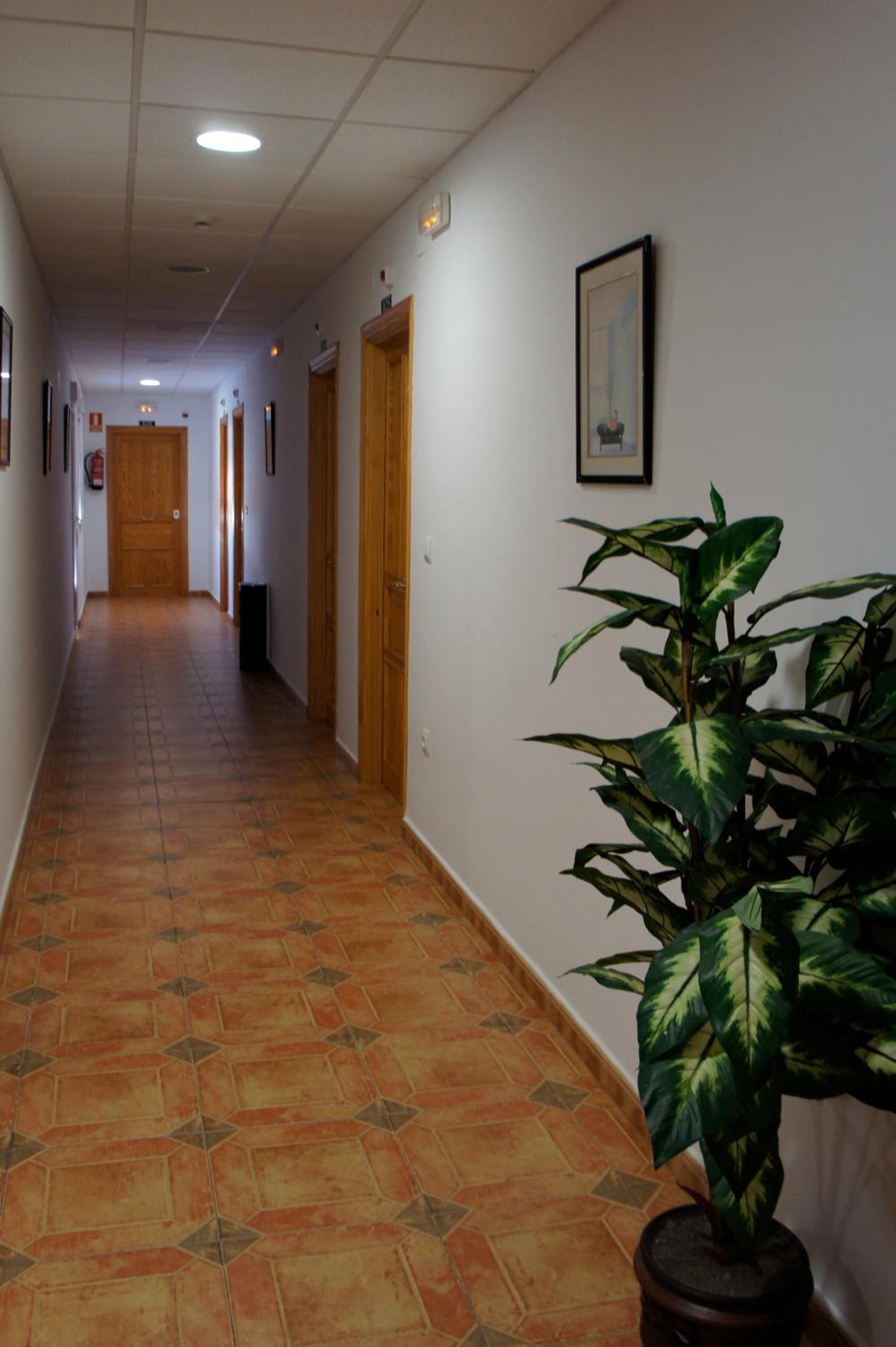 Double or Twin Room photo 3