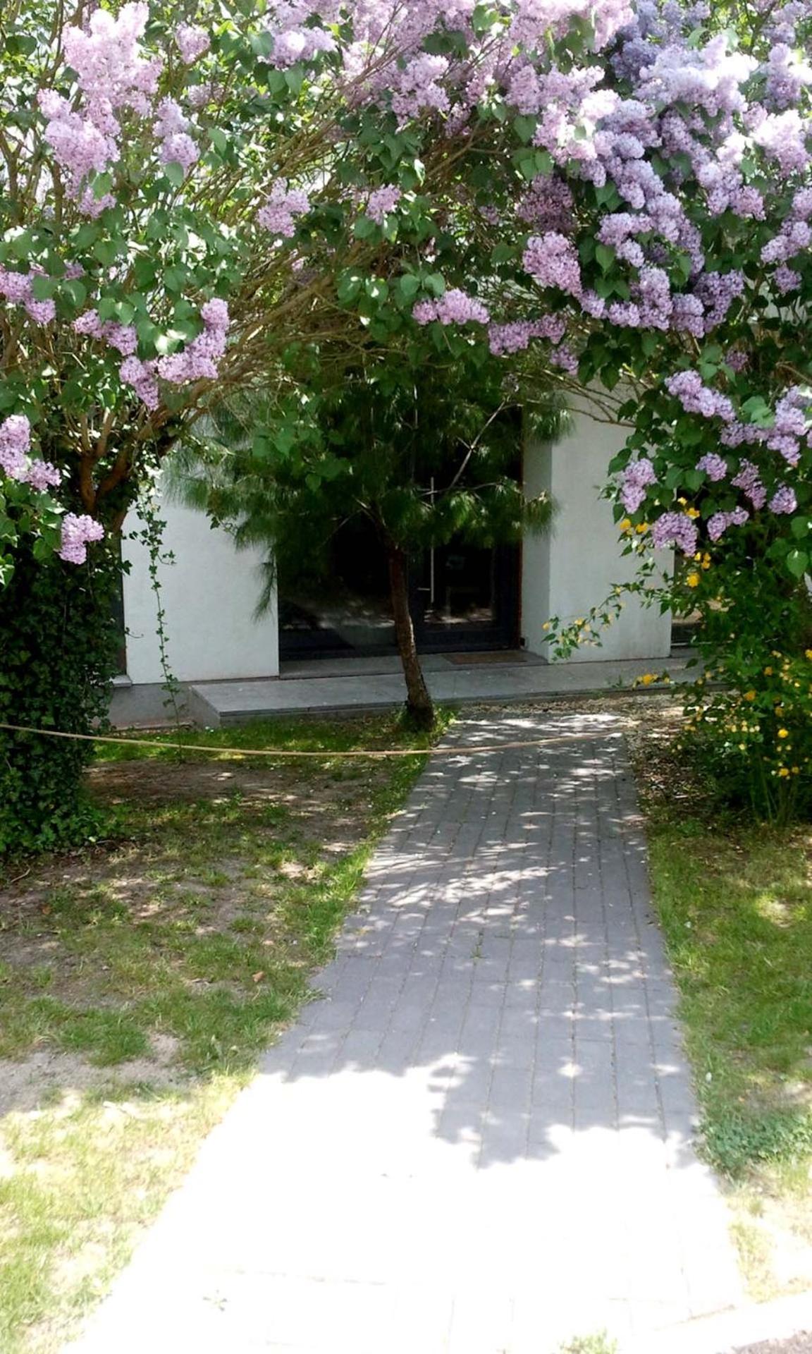 Apartment with Lake View photo 2