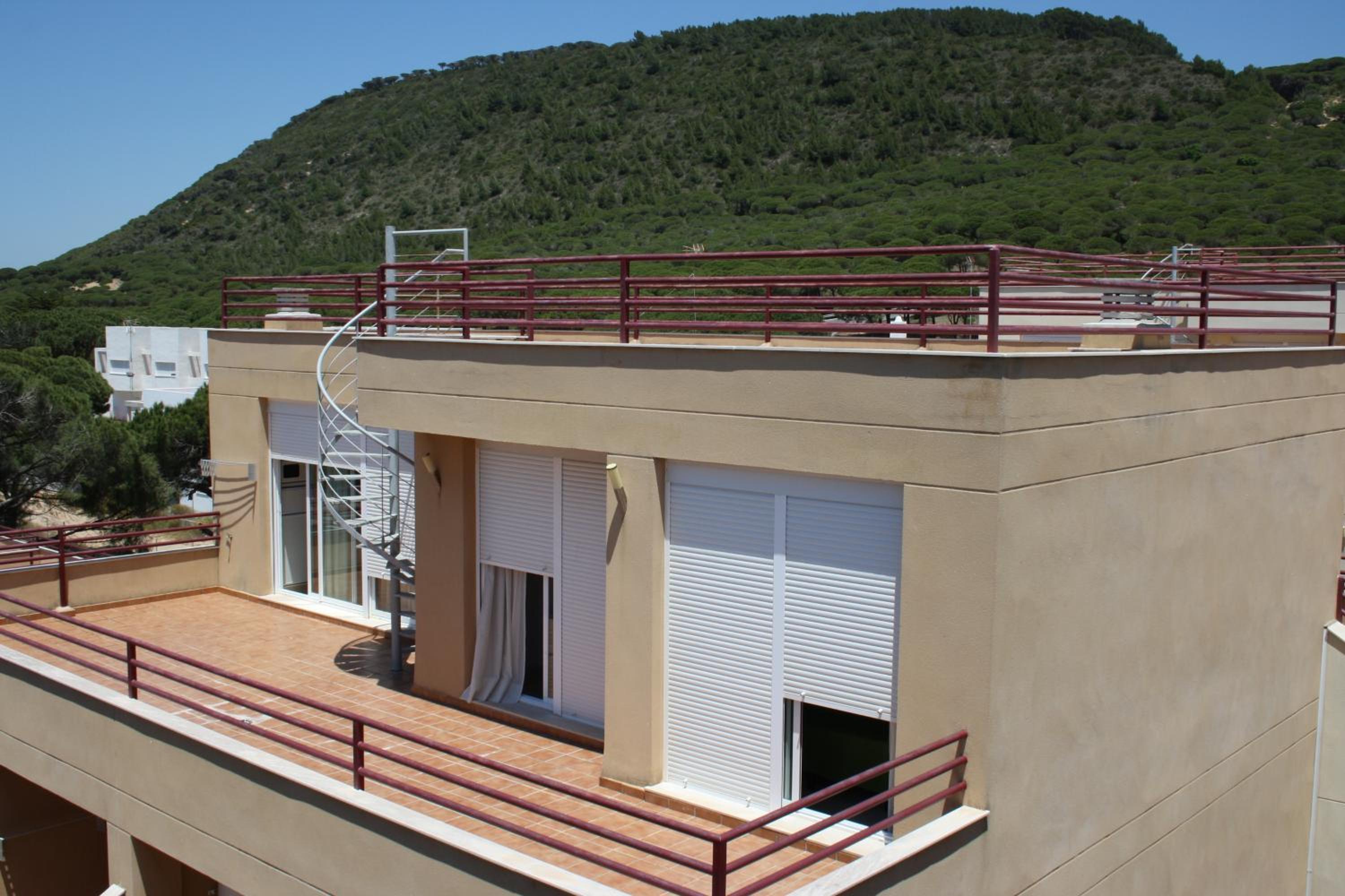 Penthouse Suite Apartment (4 adults) photo 3
