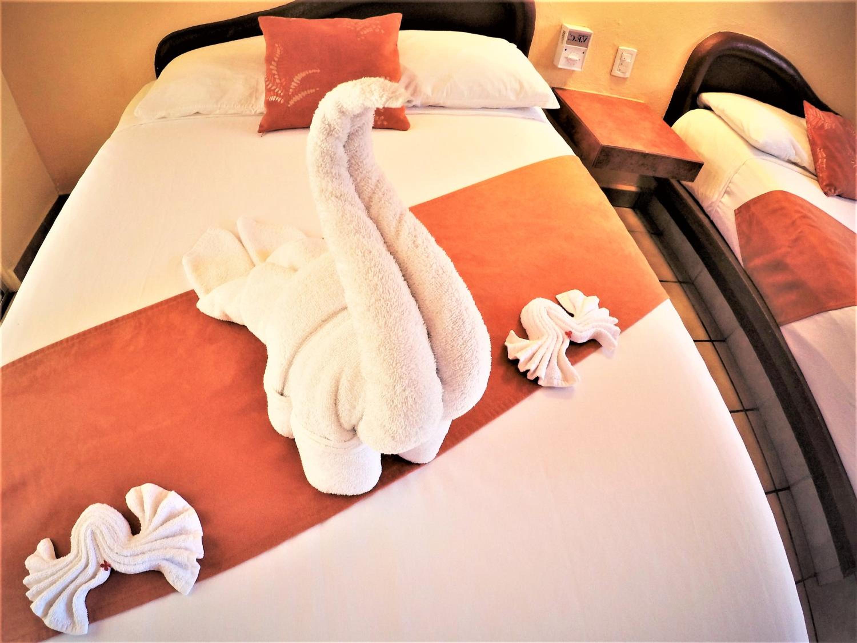 Standard Room - Photo 23