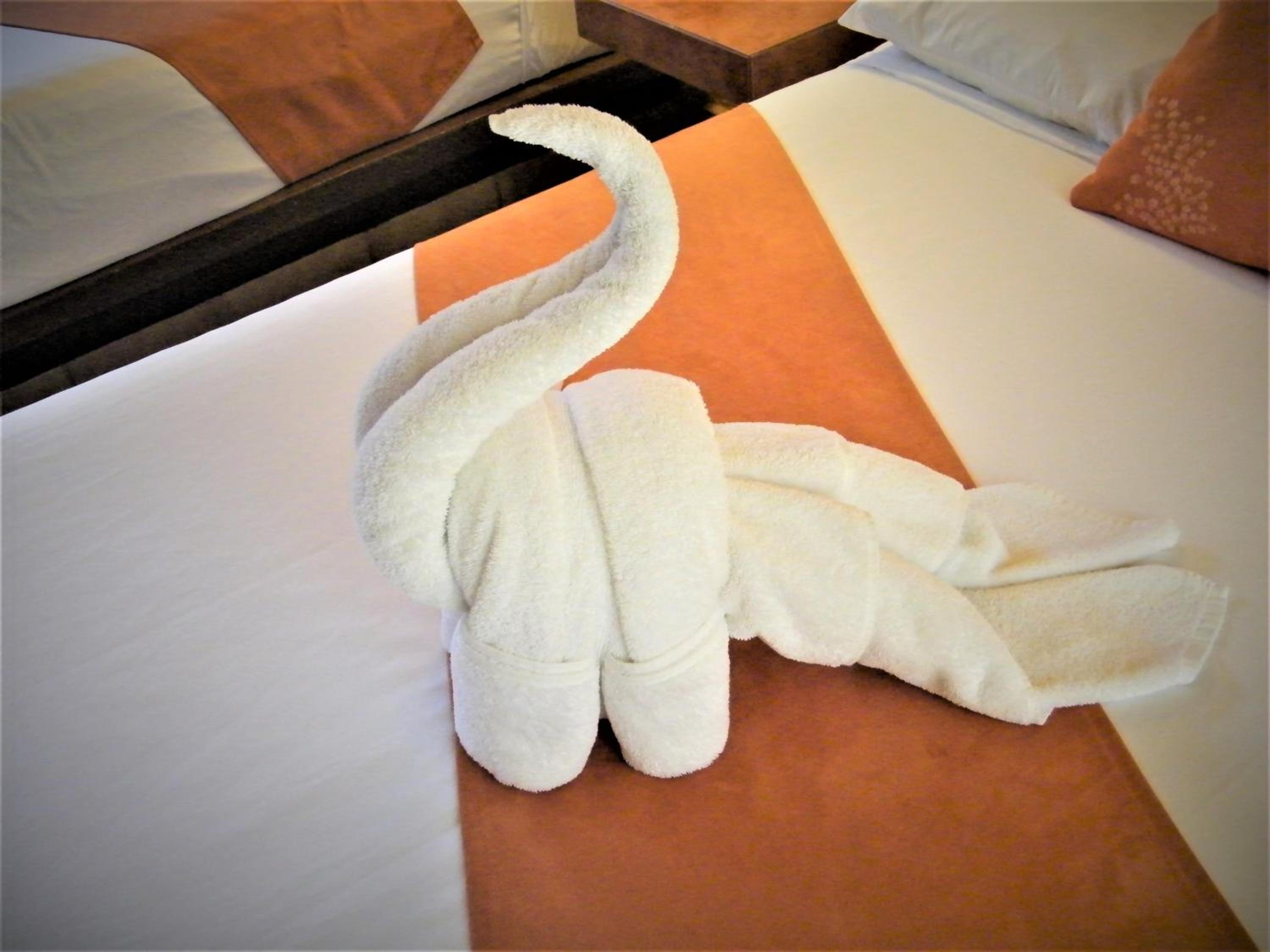 Standard Room - Photo 19