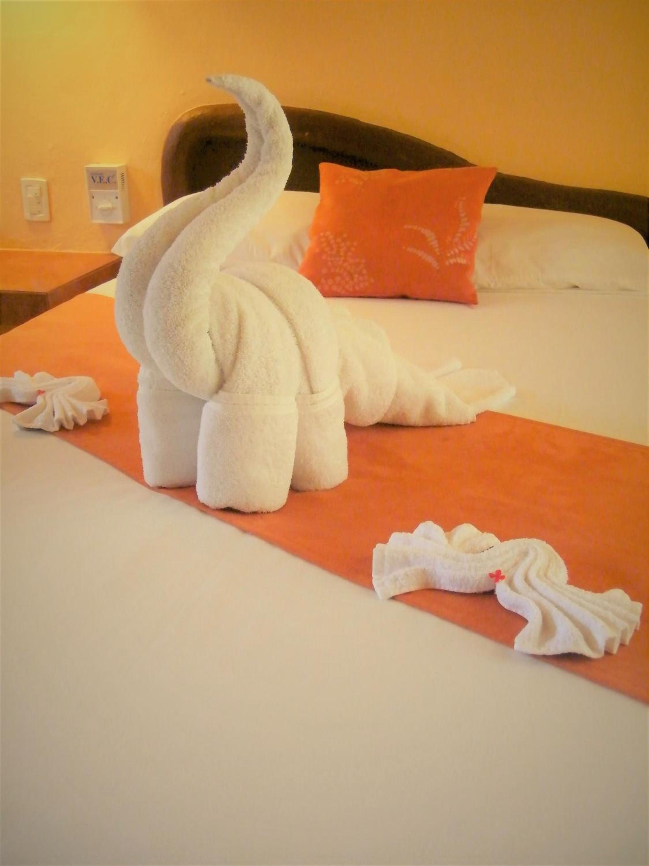 Standard Room - Photo 20