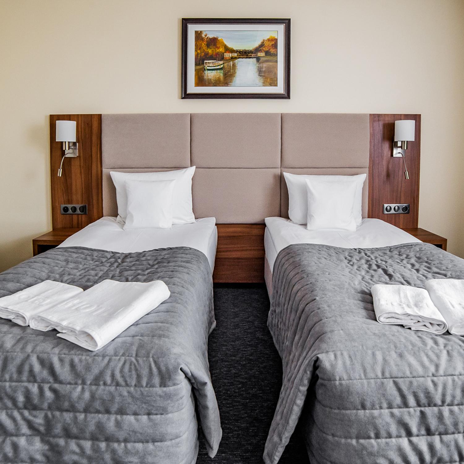 Superior Deluxe Double or Twin Room  photo 2