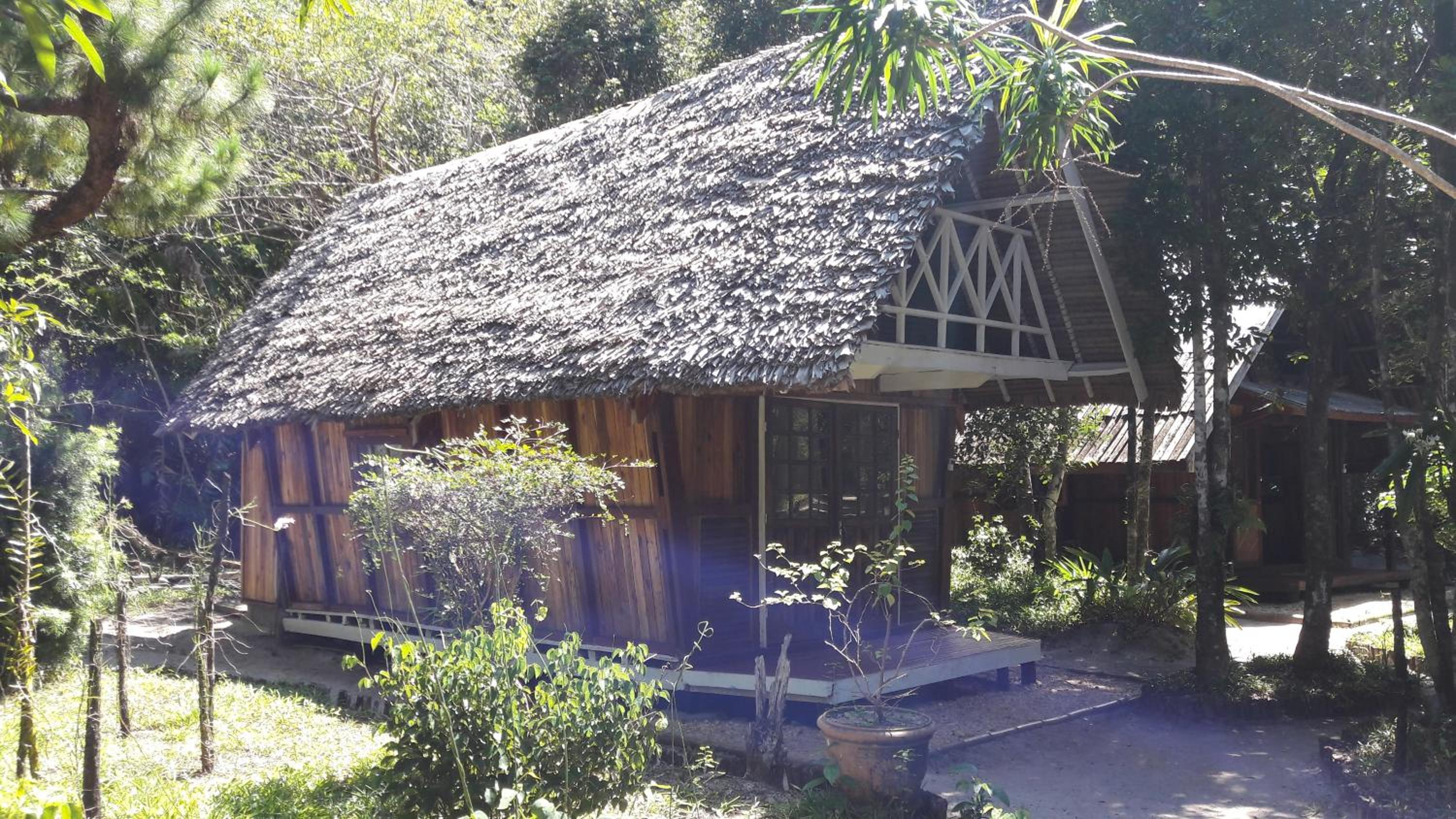 Family Bungalow photo 3
