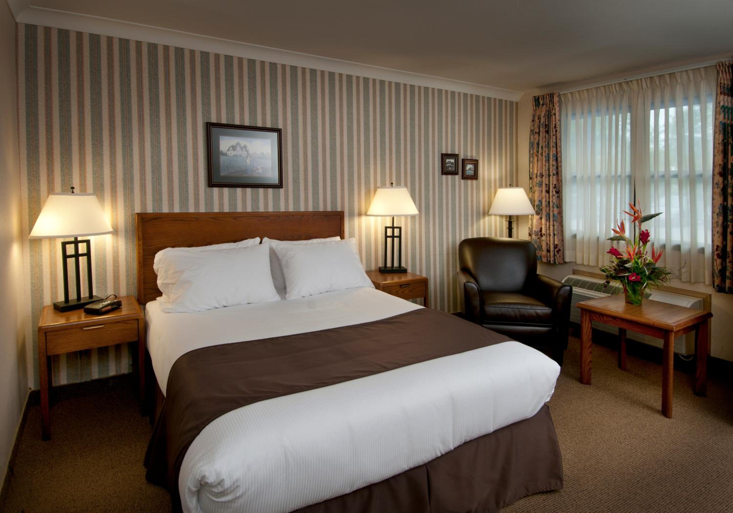 Queen Room photo 1
