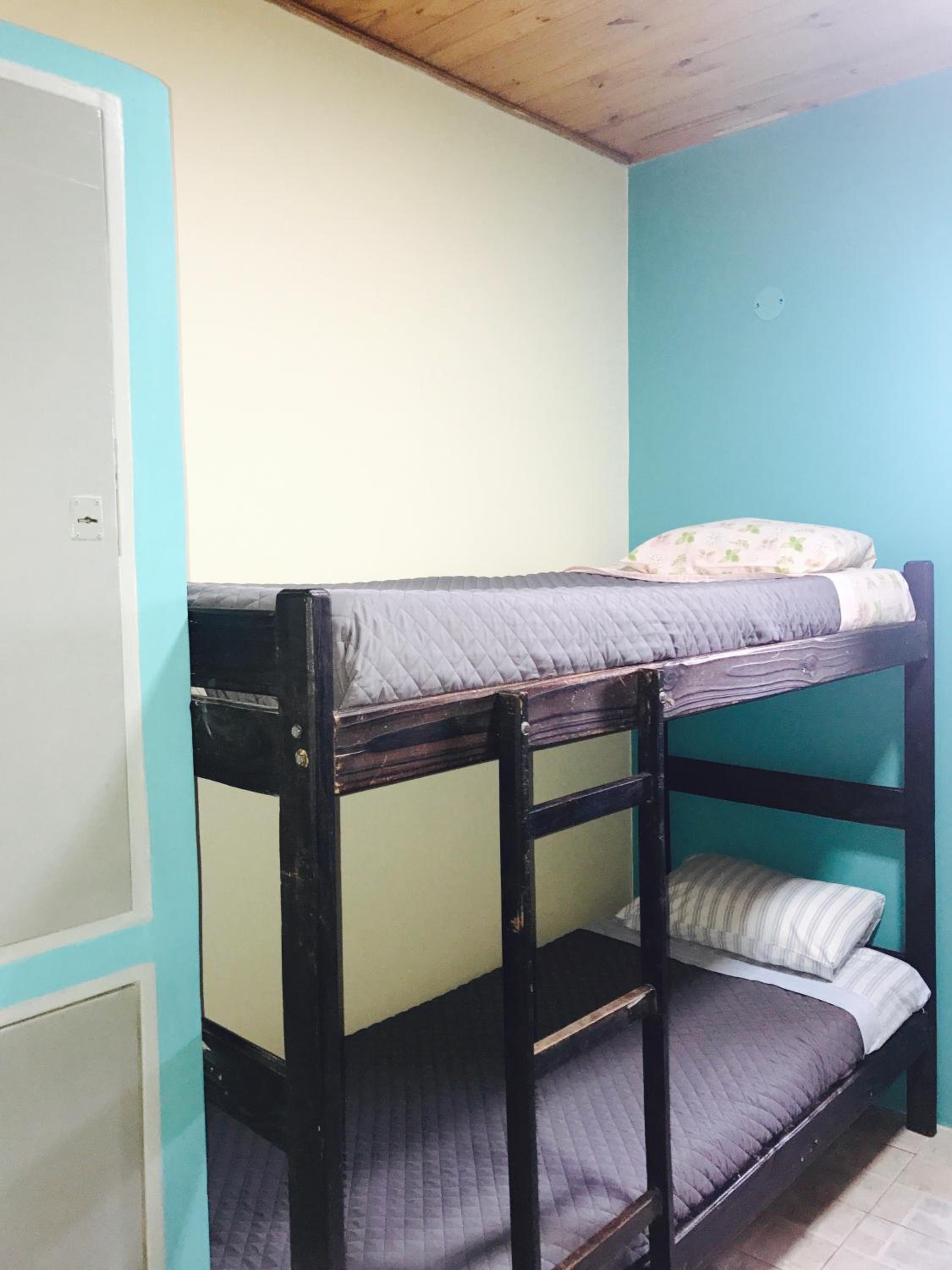 Single Bed in Mixed Dormitory Room
