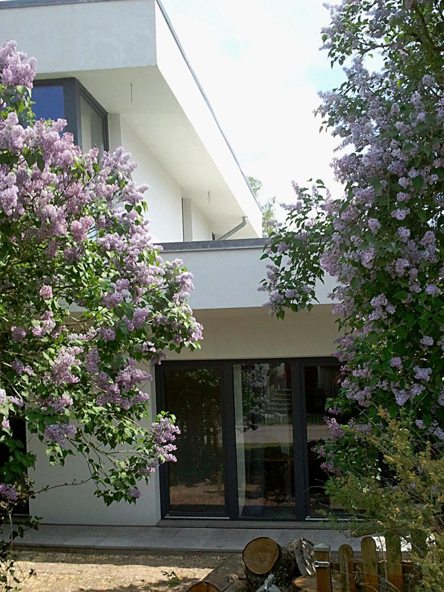 Apartment with Terrace photo 2