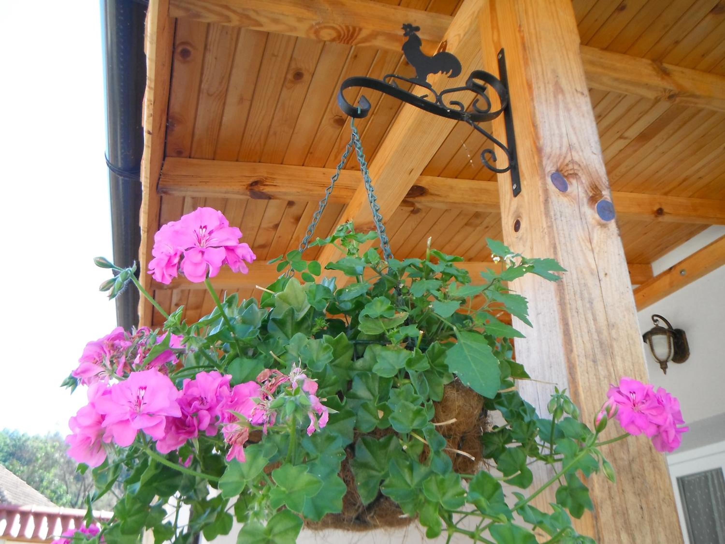 Villa photo 3