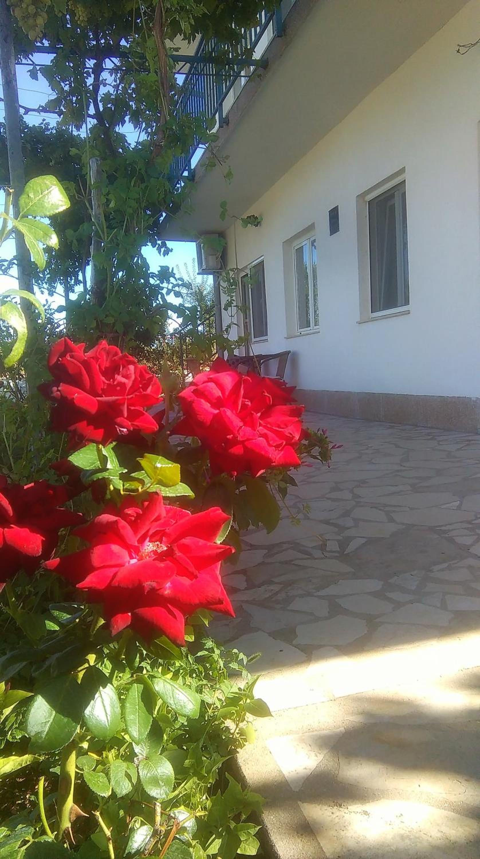 Apartment with Garden View - Photo 9