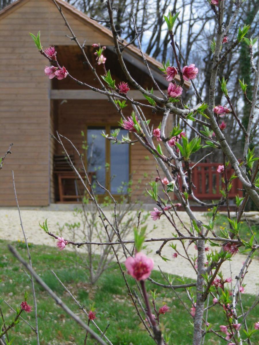 Chalet ( 6 Adults ) - Photo 31