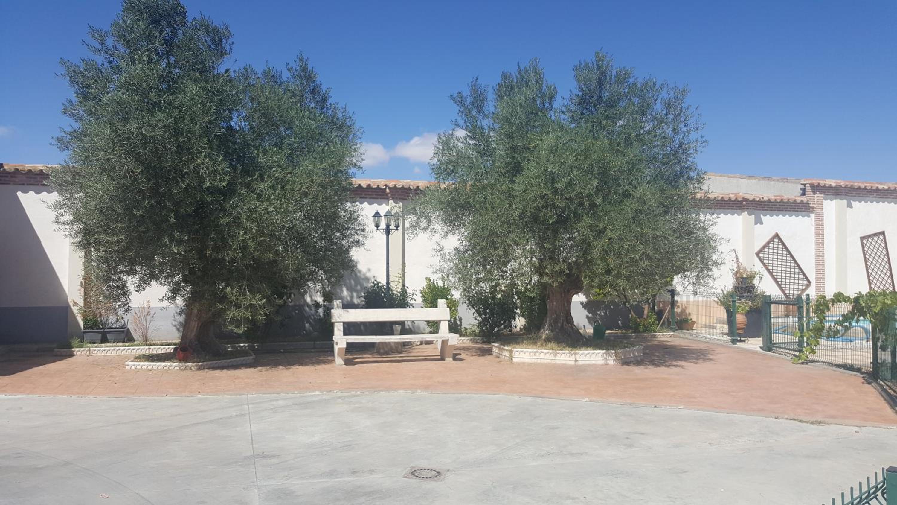 Vacation Home photo 3