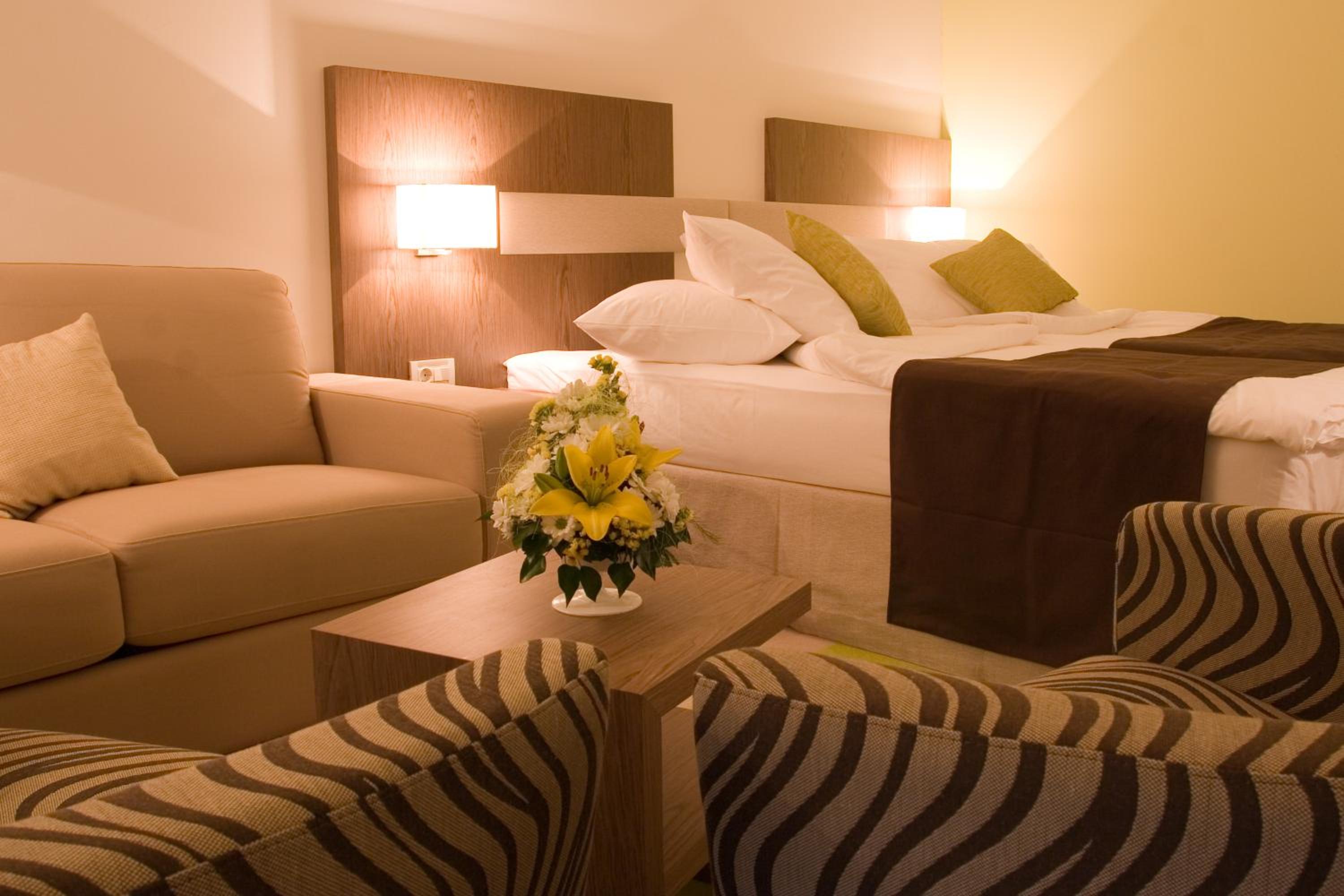 Superior Double Room with Balcony with Park View - Photo 9