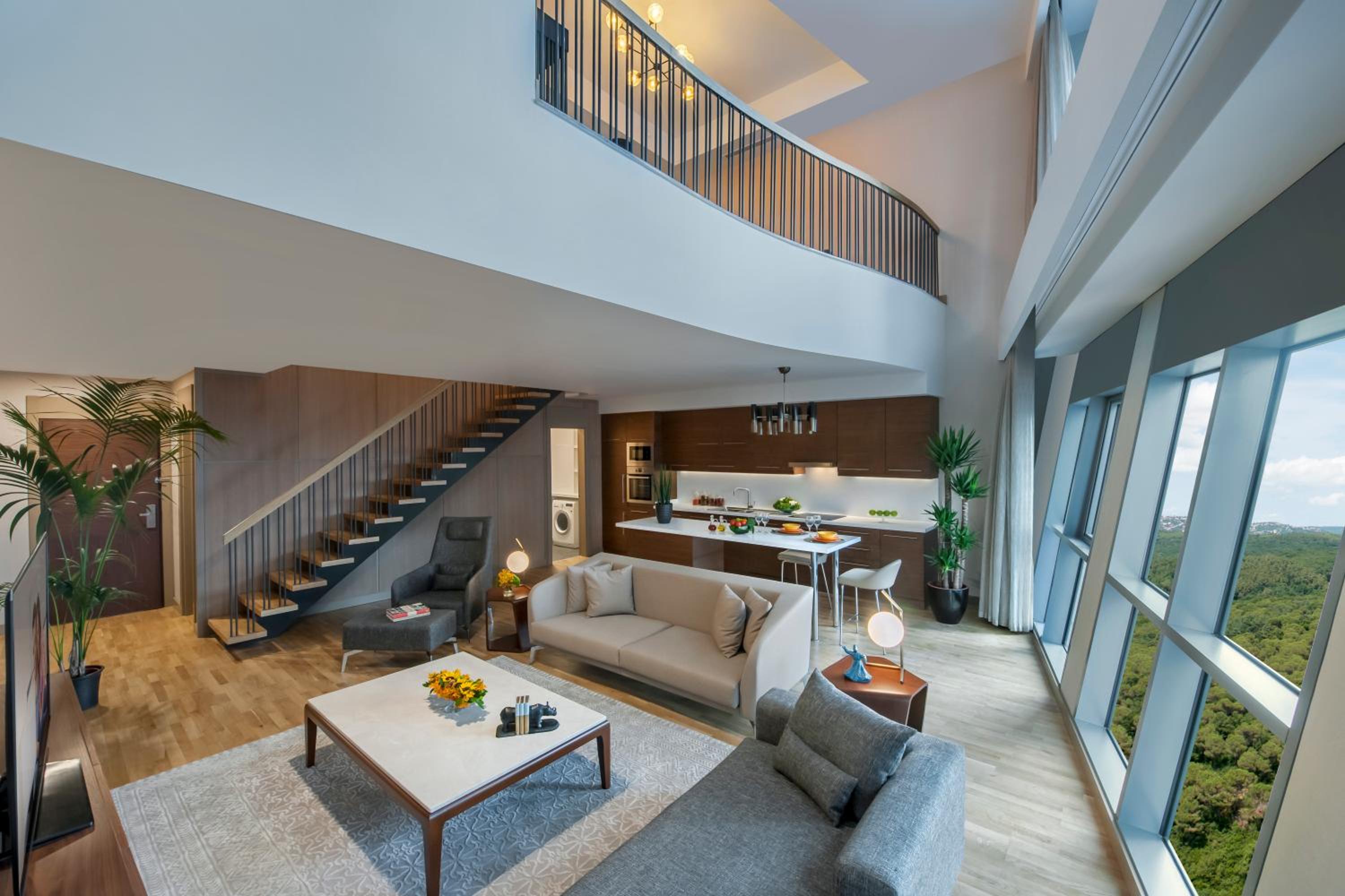 One-Bedroom Penthouse