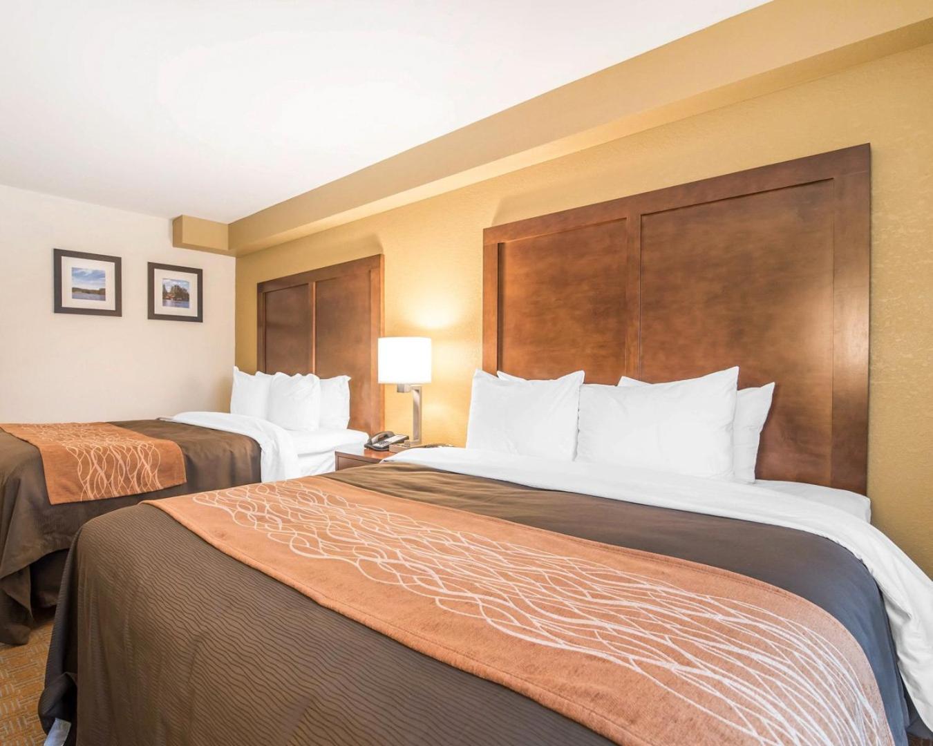 Standard Queen Room with Two Queen Beds photo 1