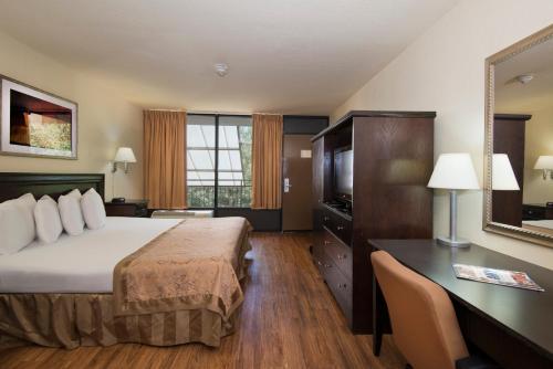 King Room photo 2