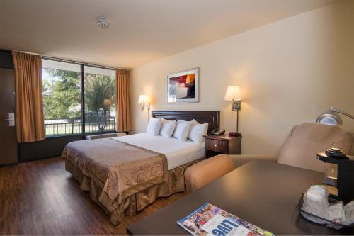 King Room photo 1