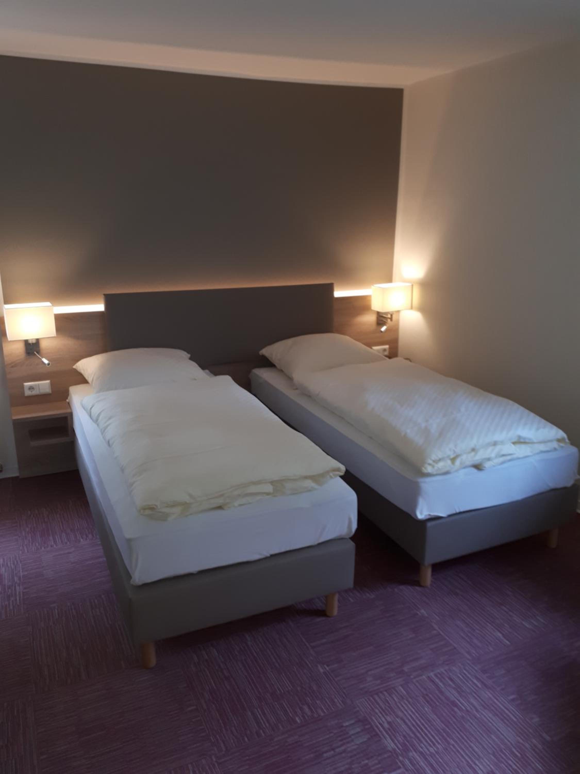 Deluxe Double or Twin Room photo 1
