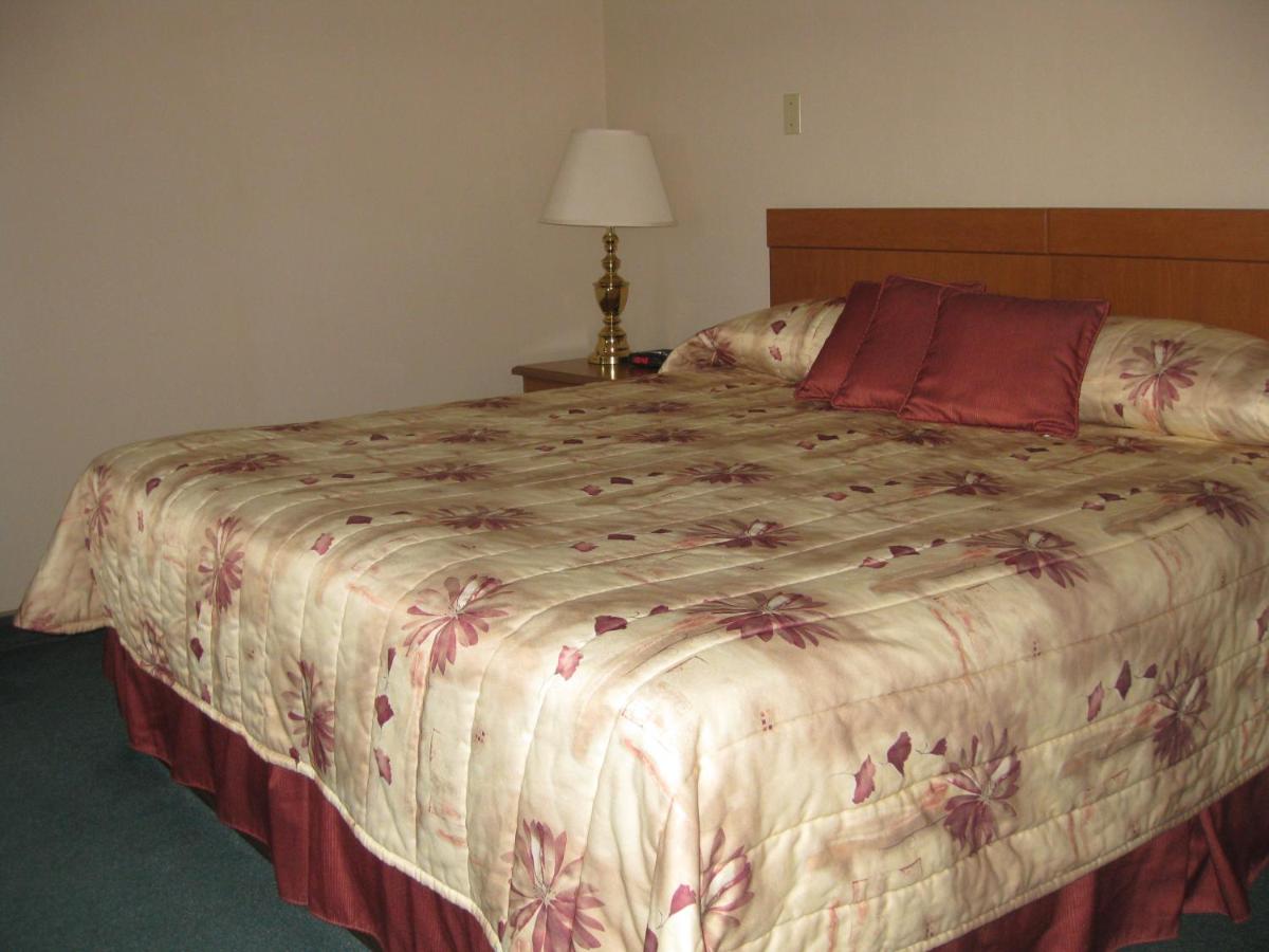 King Suite with Sofa Bed