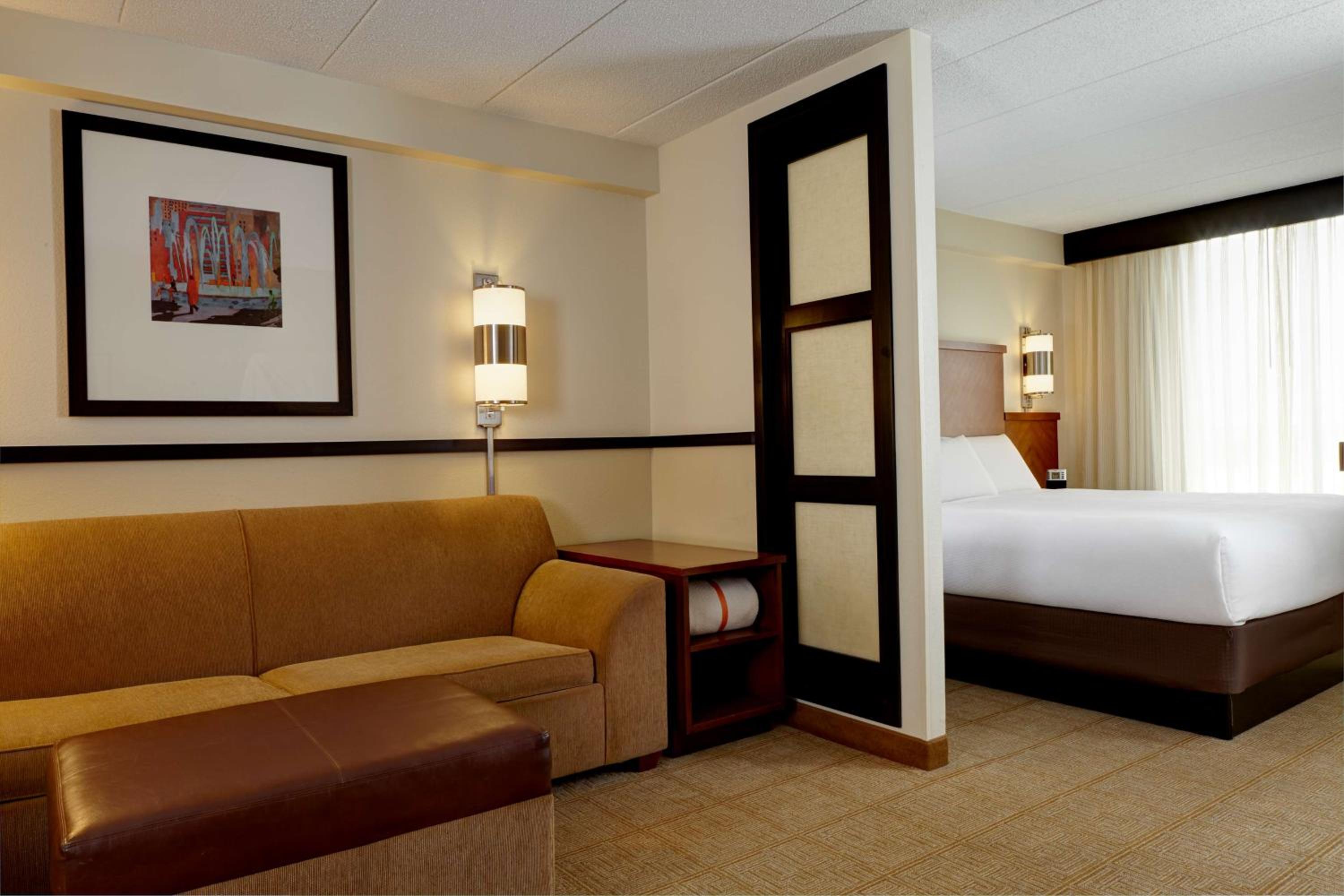 One-Bedroom King Suite with Sofa Bed - Photo 4