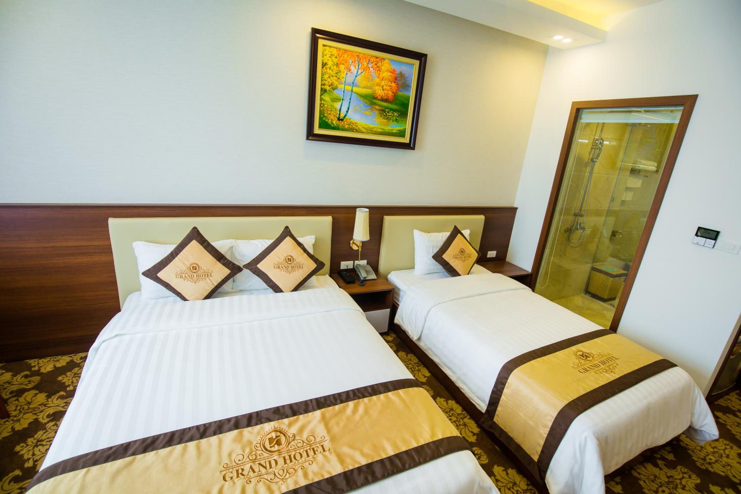 Deluxe Double or Twin Room photo 3