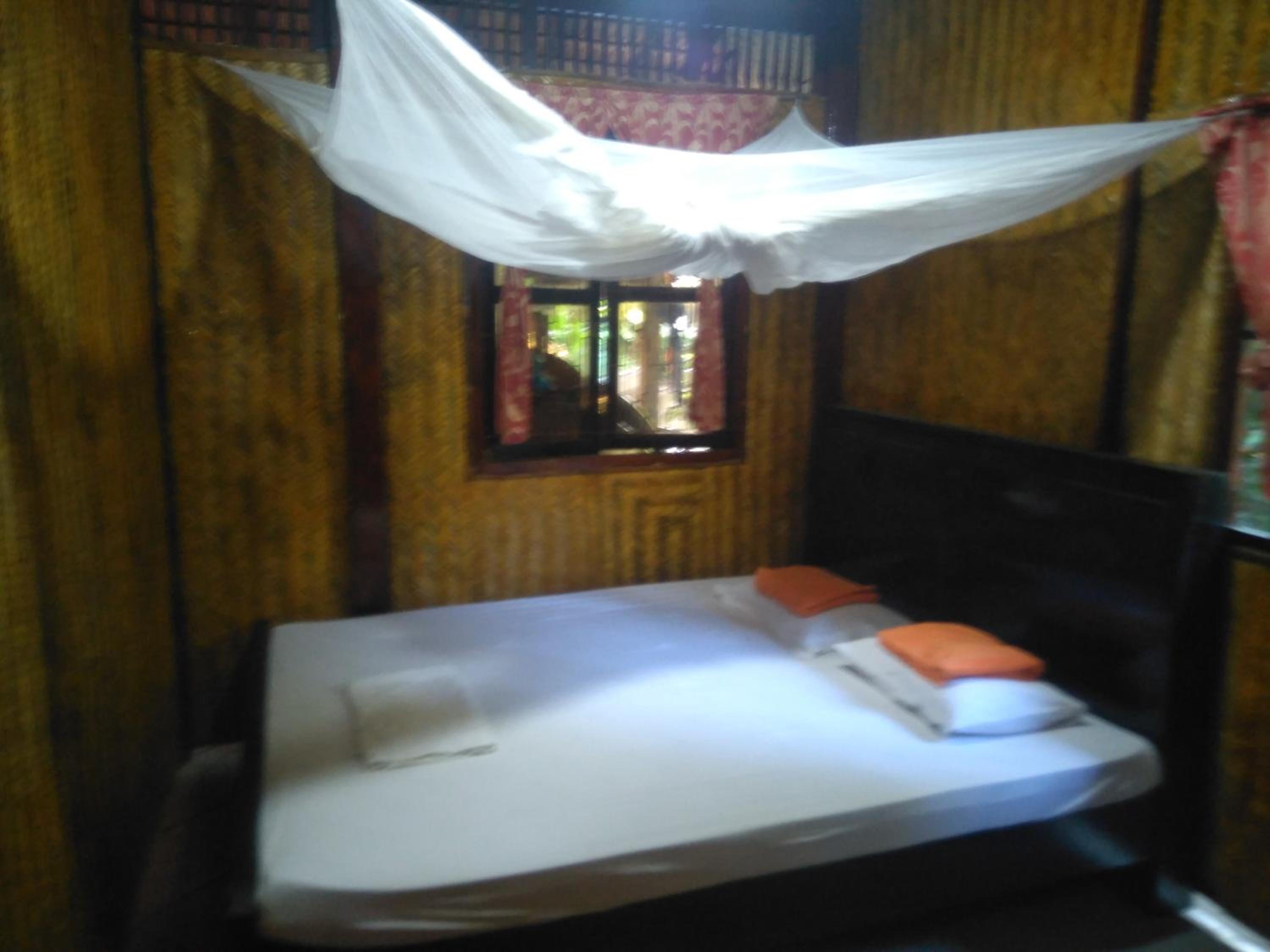 Double Room with Garden View photo 1