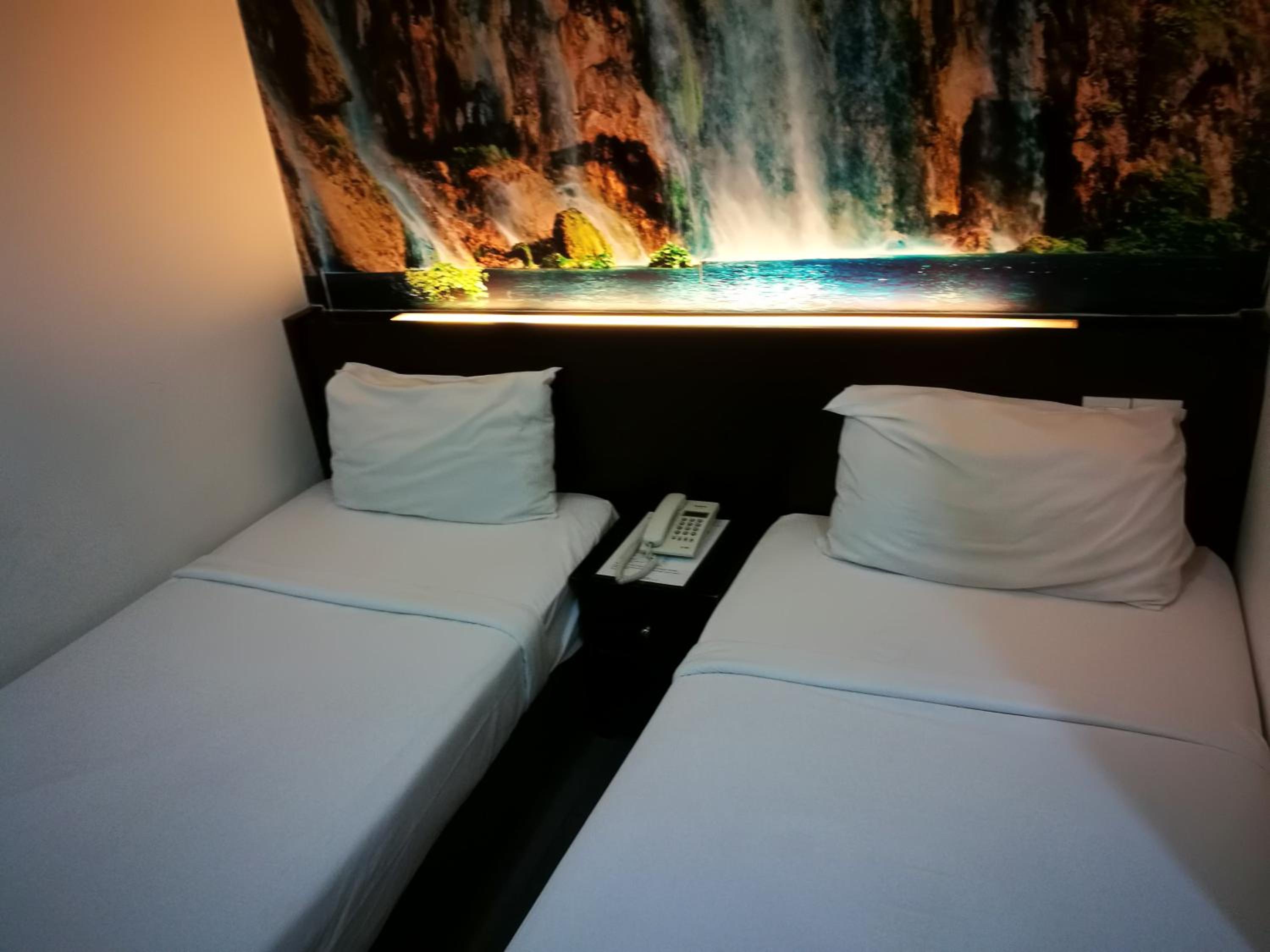 Standard Twin Room photo 3