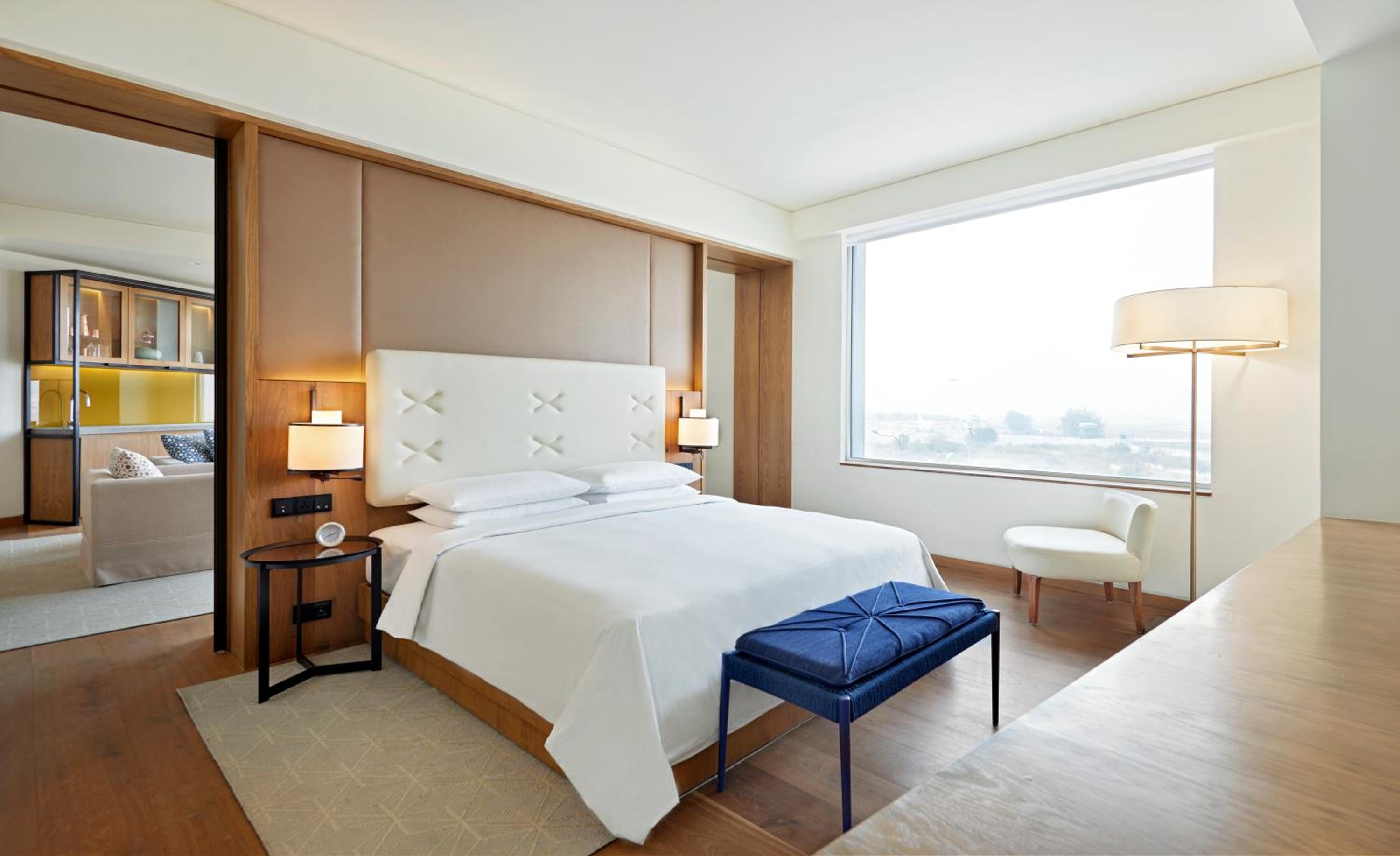 Large Suite - Photo 1