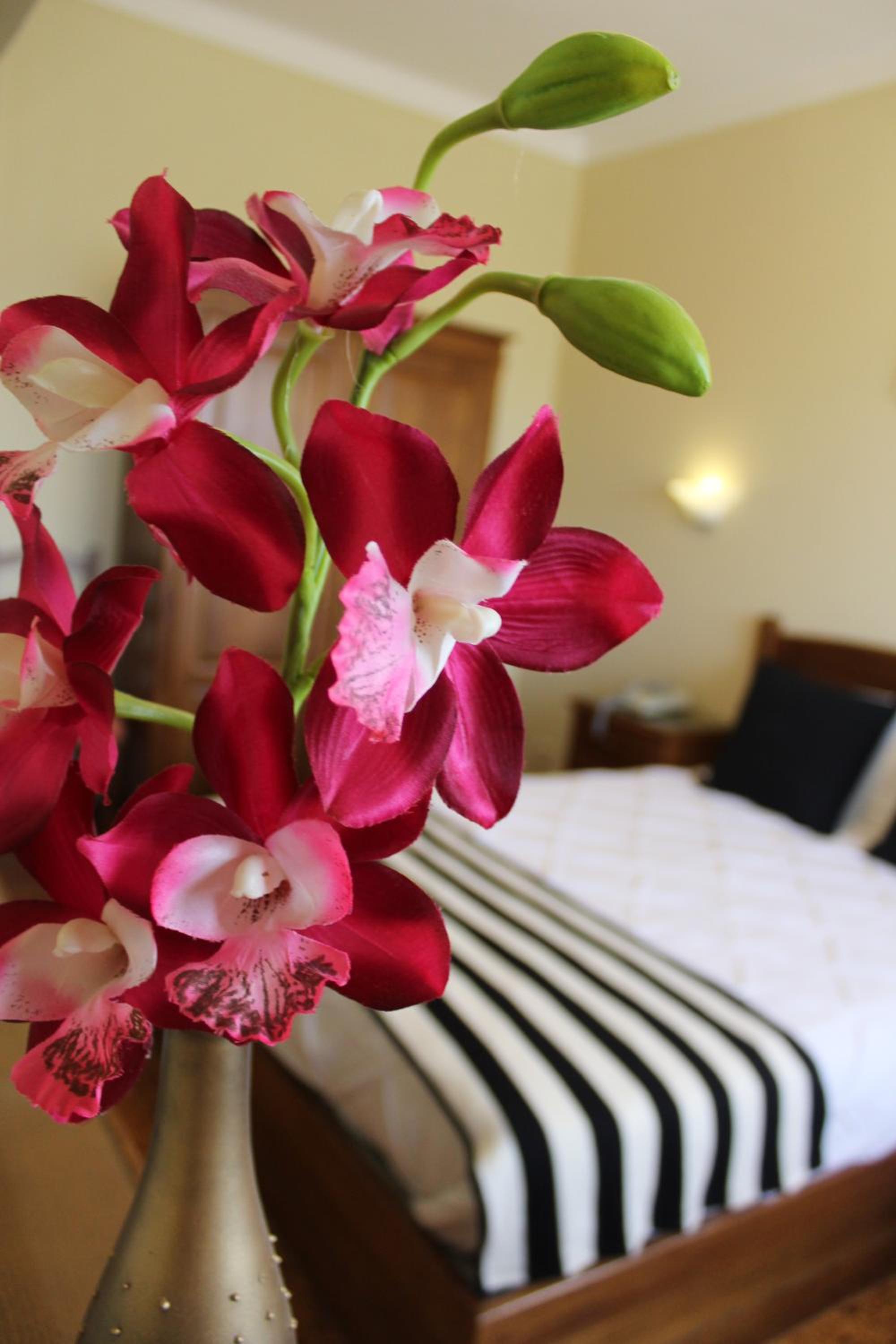 Standard Twin Room - Photo 6