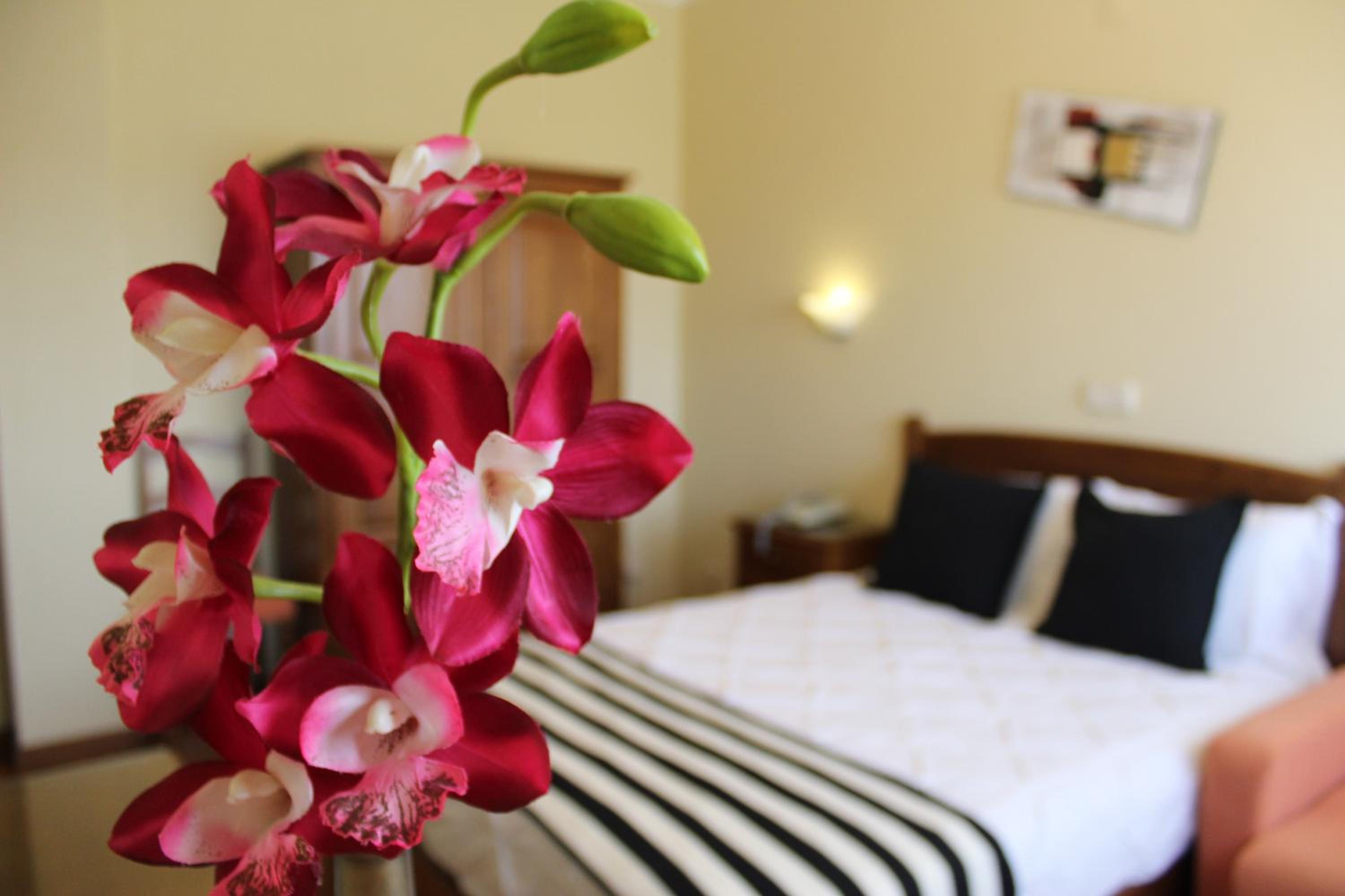 Standard Twin Room - Photo 7