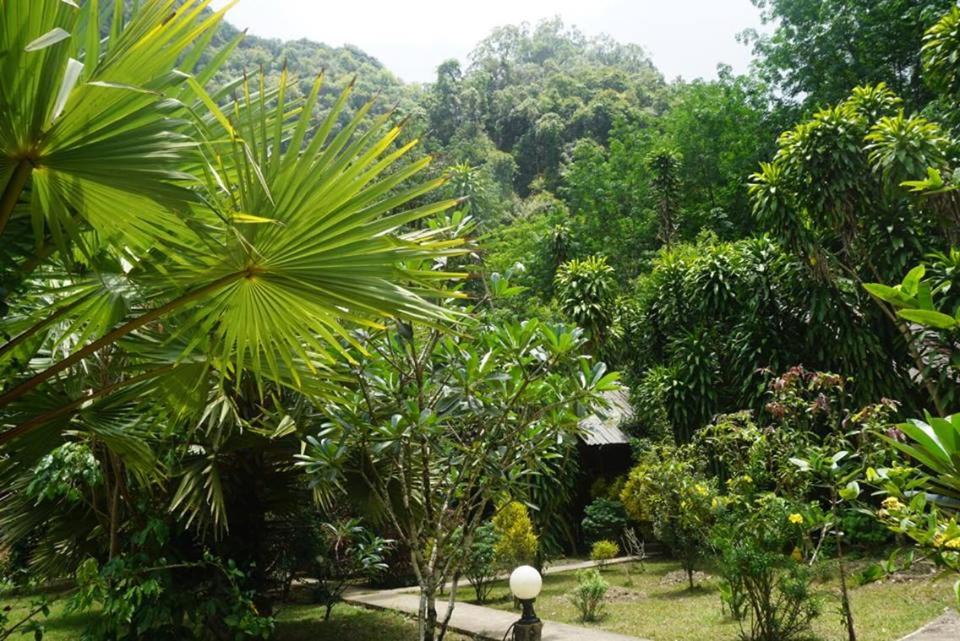 Bungalow with Garden View photo 2