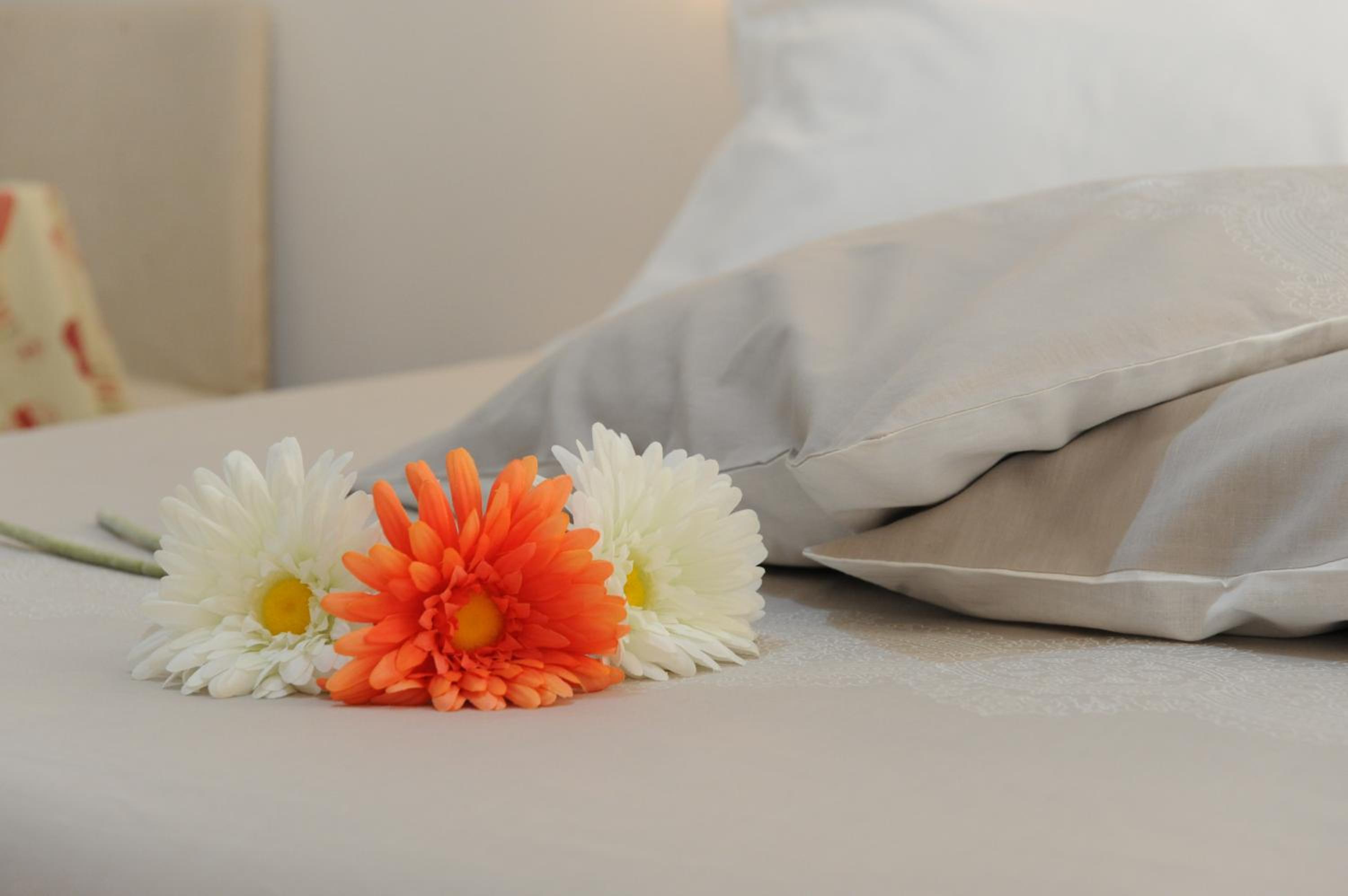 Deluxe Double Room with Balcony photo 1