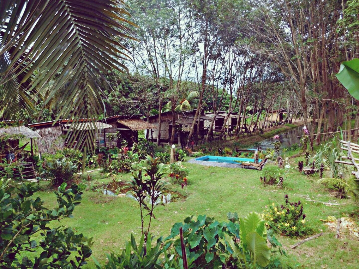 Bungalow with Garden View photo 2