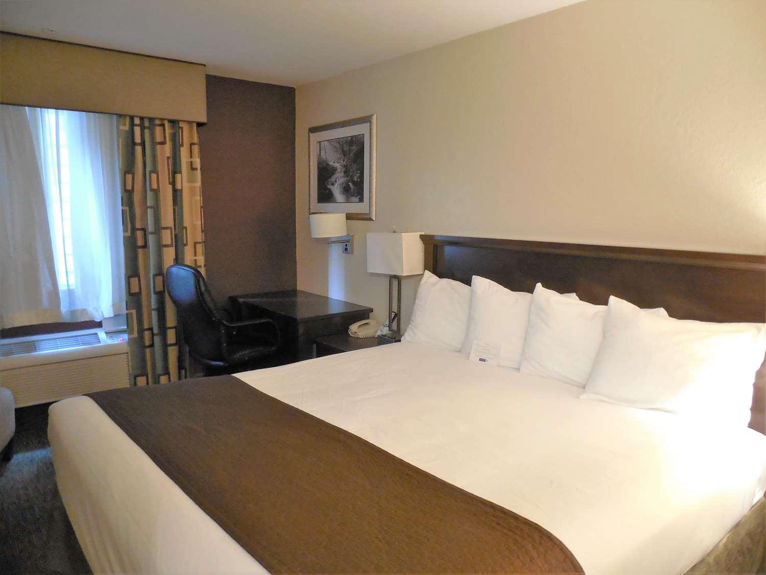 King Room - Non-Smoking - Photo 6
