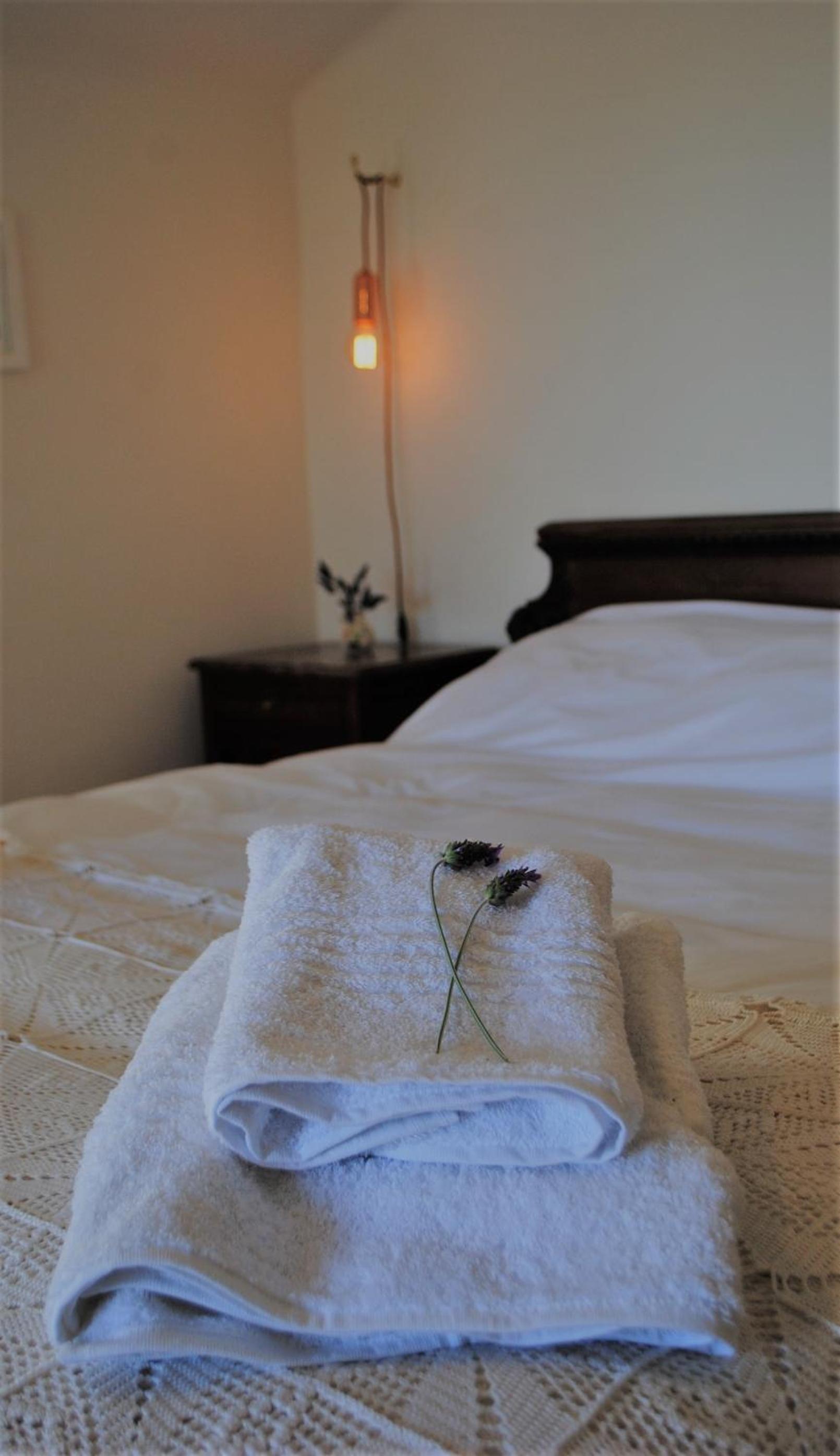 Double Room with Balcony photo 3