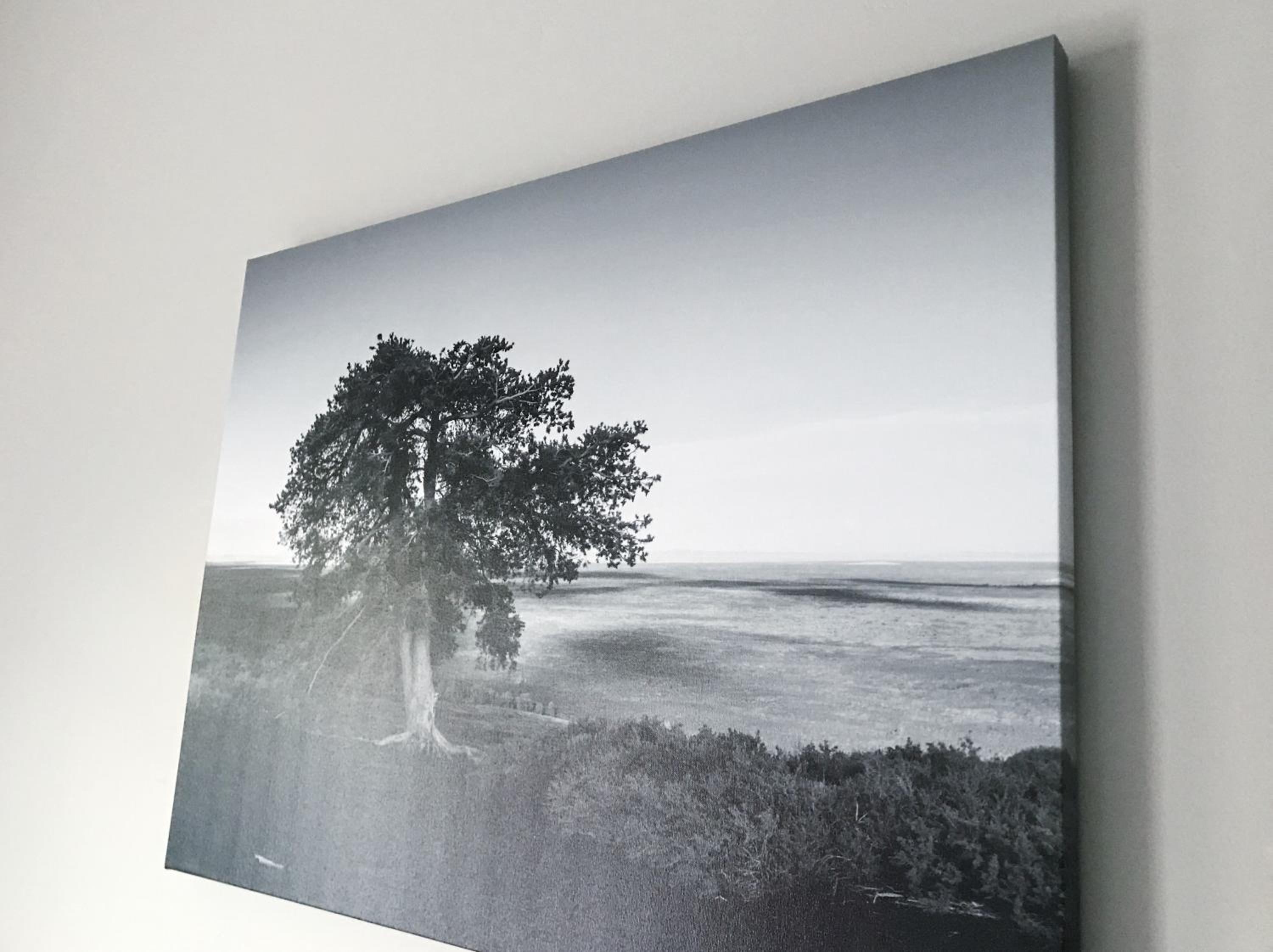 King Room - Disability Access photo 2