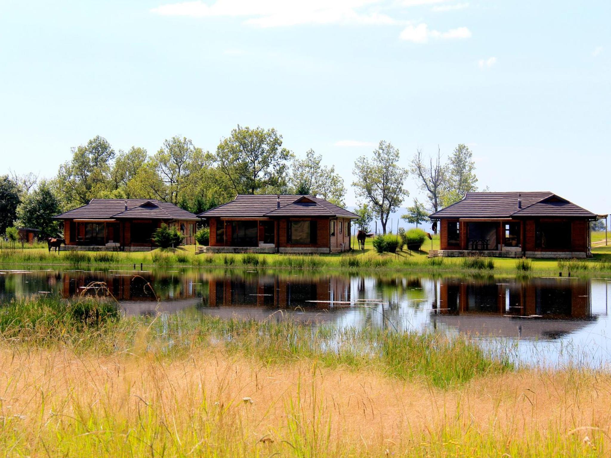 Luxury Chalet - Early Mist Lodge photo 2