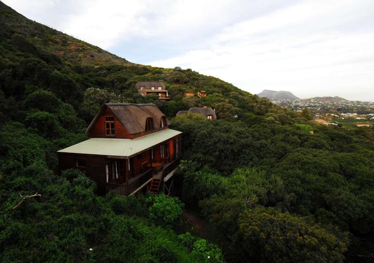 Three-Bedroom Chalet photo 2