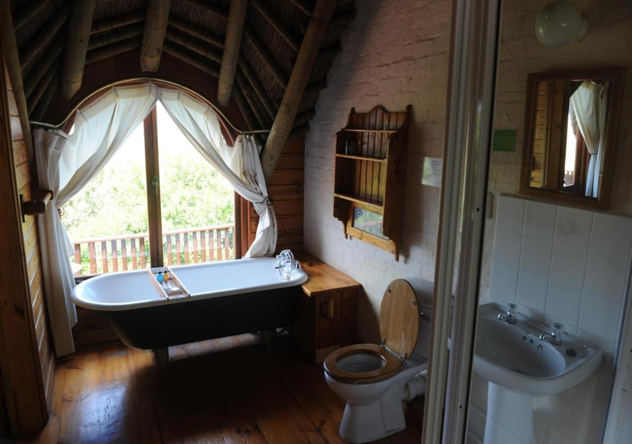 Deluxe Double or Twin Room photo 2