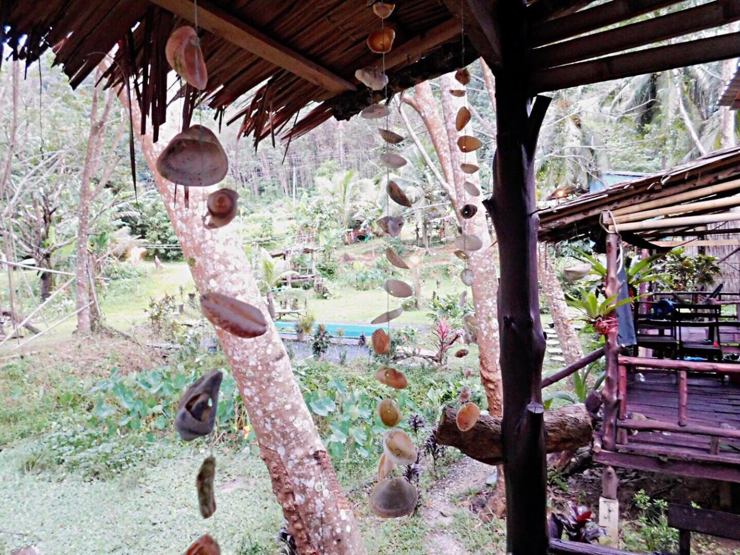 Bungalow with Garden View photo 3