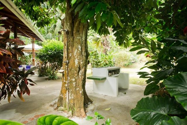 Villa photo 3