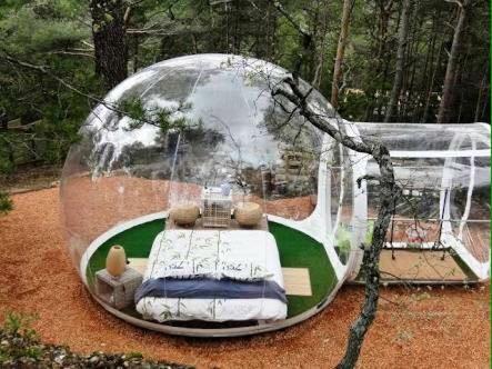 Bubble Tent photo 3