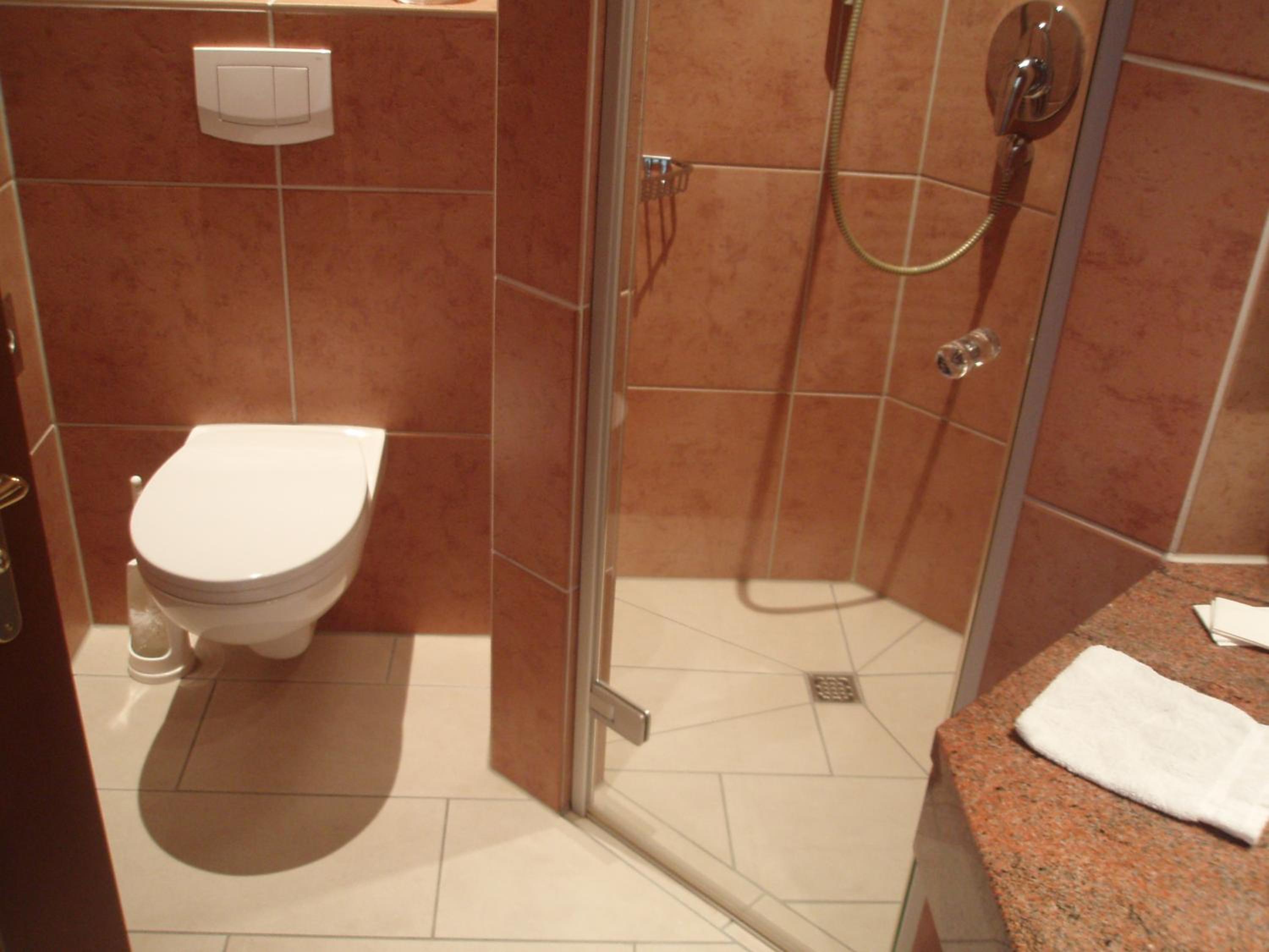 Deluxe Single Room photo 3