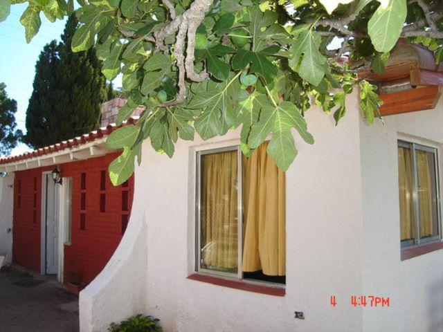 Bungalow (3 Adults) photo 2