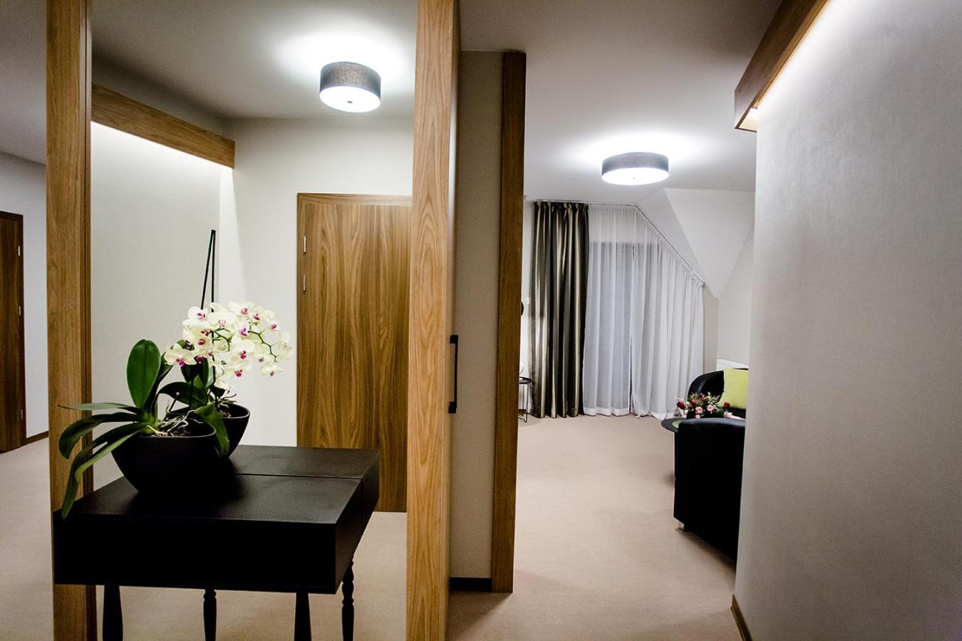 Apartment with Terrace photo 3