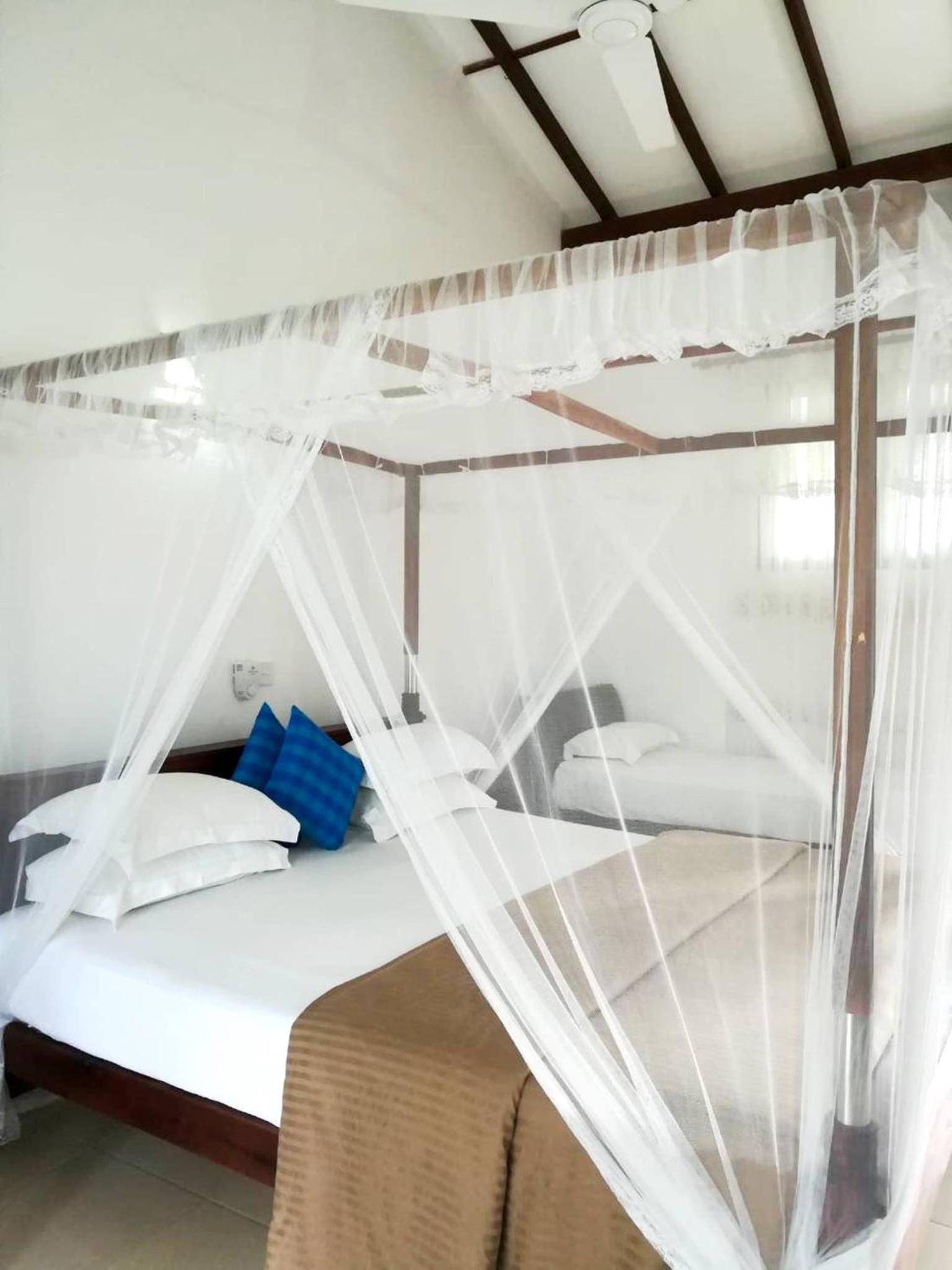 Triple Room with Terrace photo 2