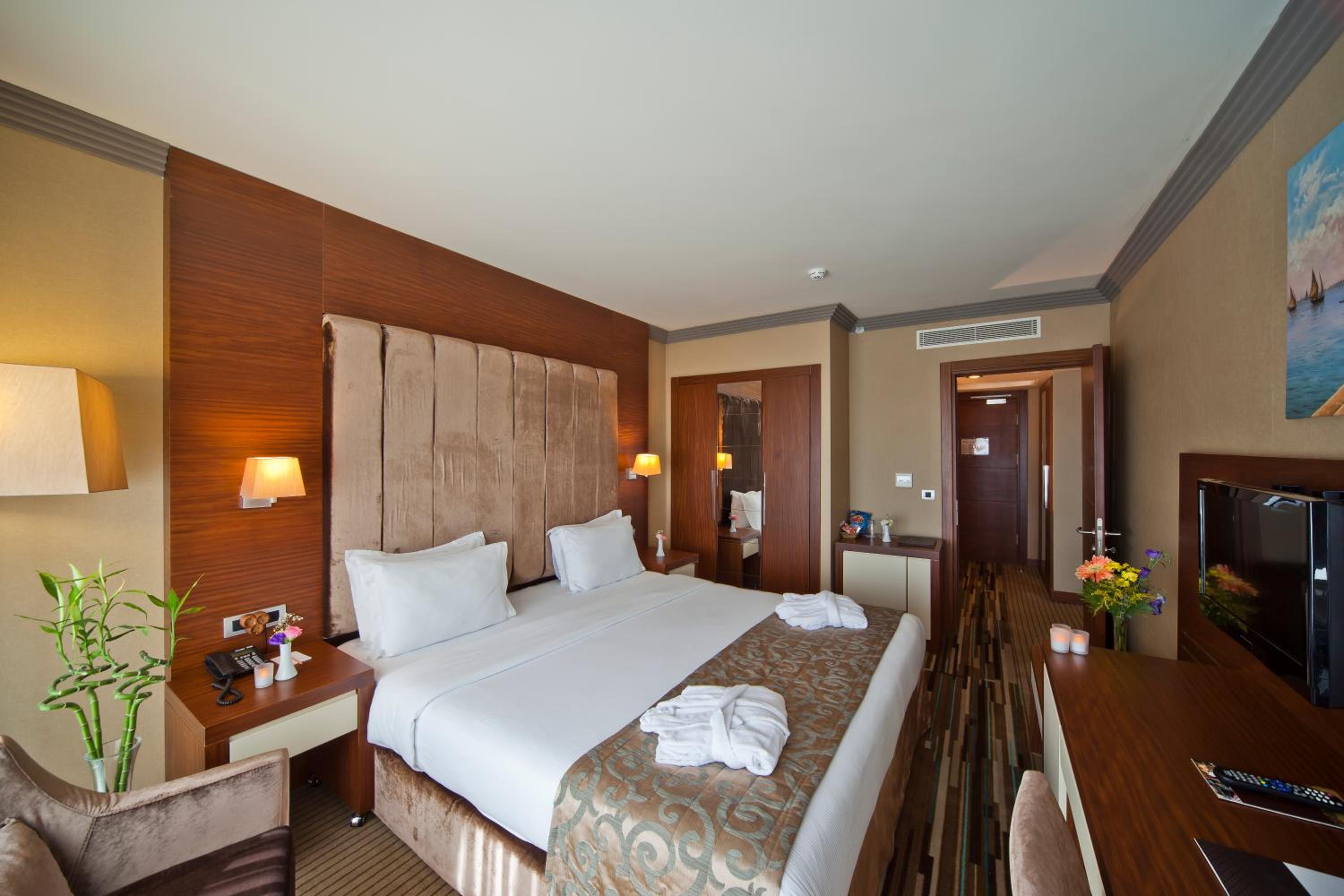 Superior Double or Twin Room with City View photo 3