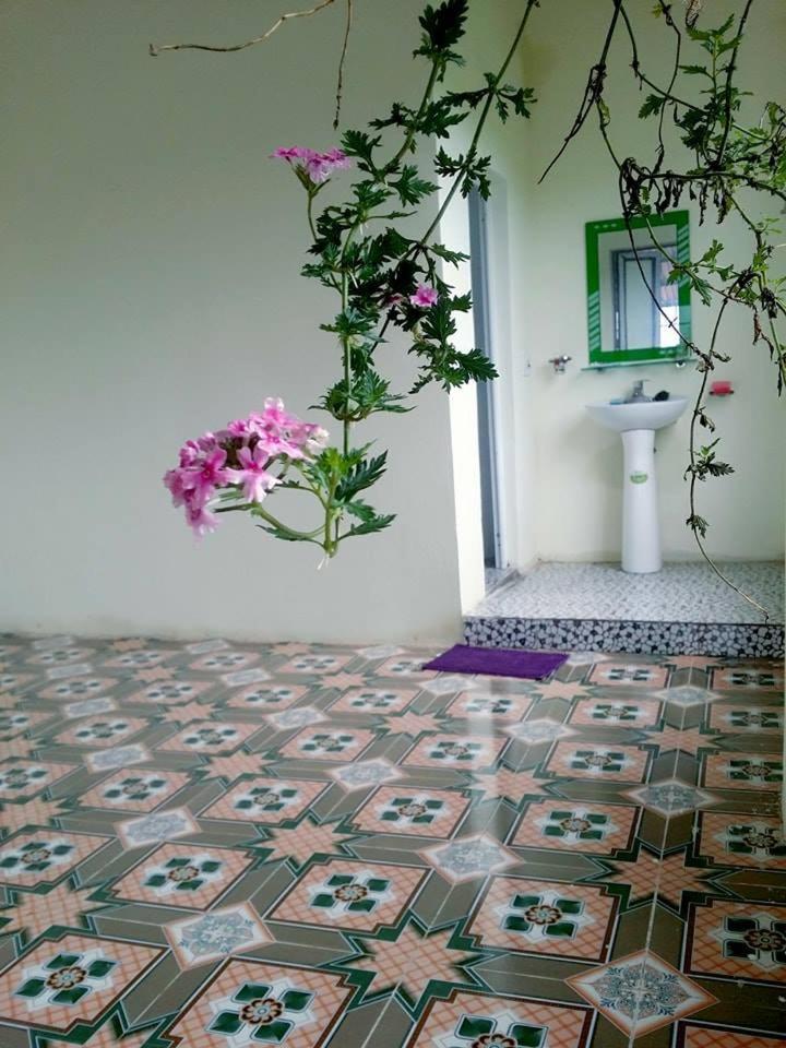 Mixed Dormitory Room photo 2