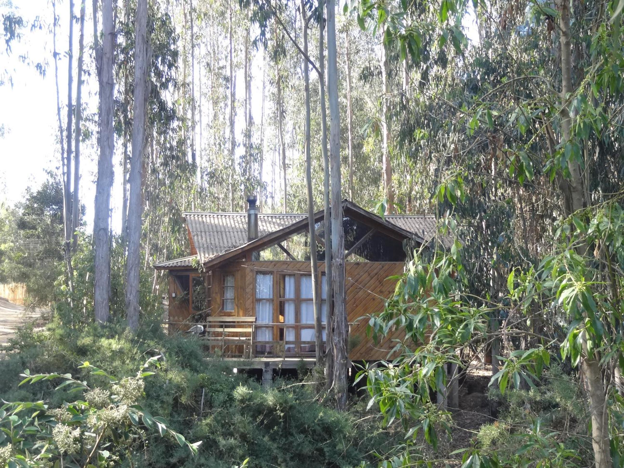 Quadruple Room with Garden View photo 1