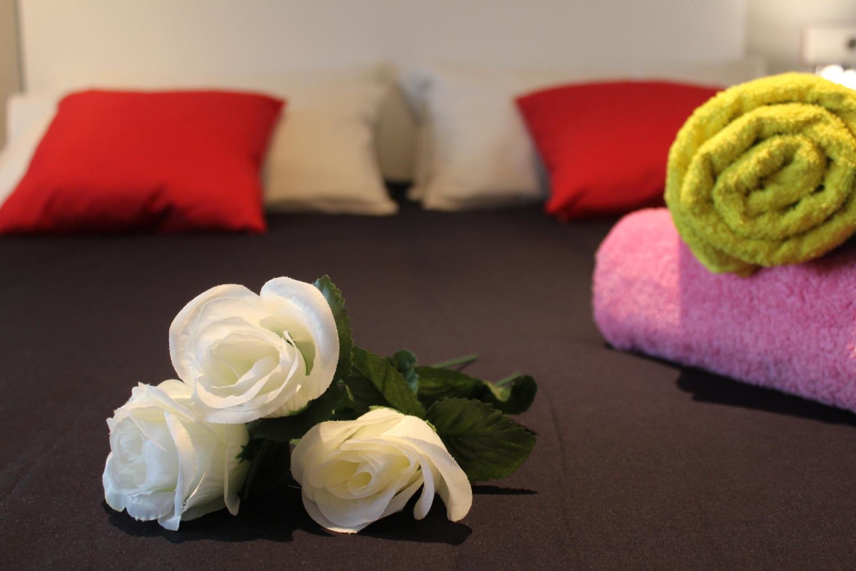 Apartamento con Terraza